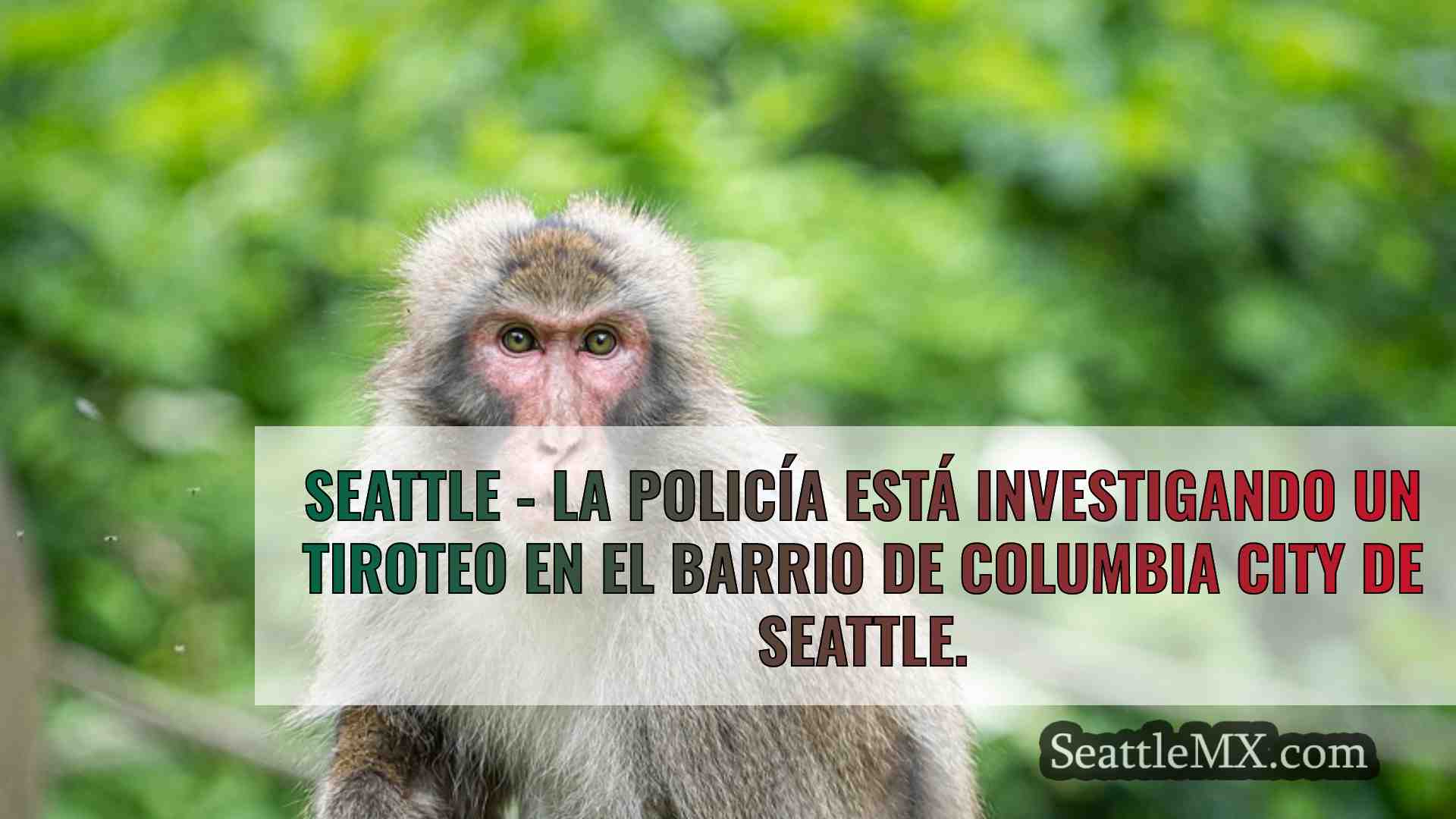 Noticias de Seattle SeattleMX