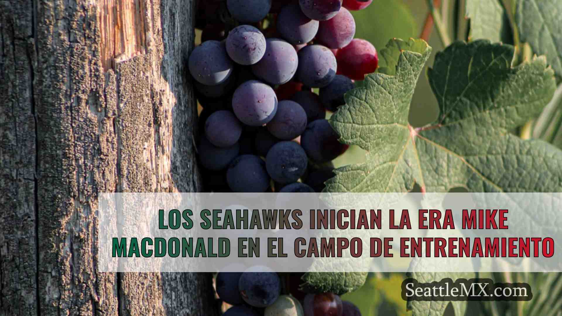Los Seahawks inician la era Mike