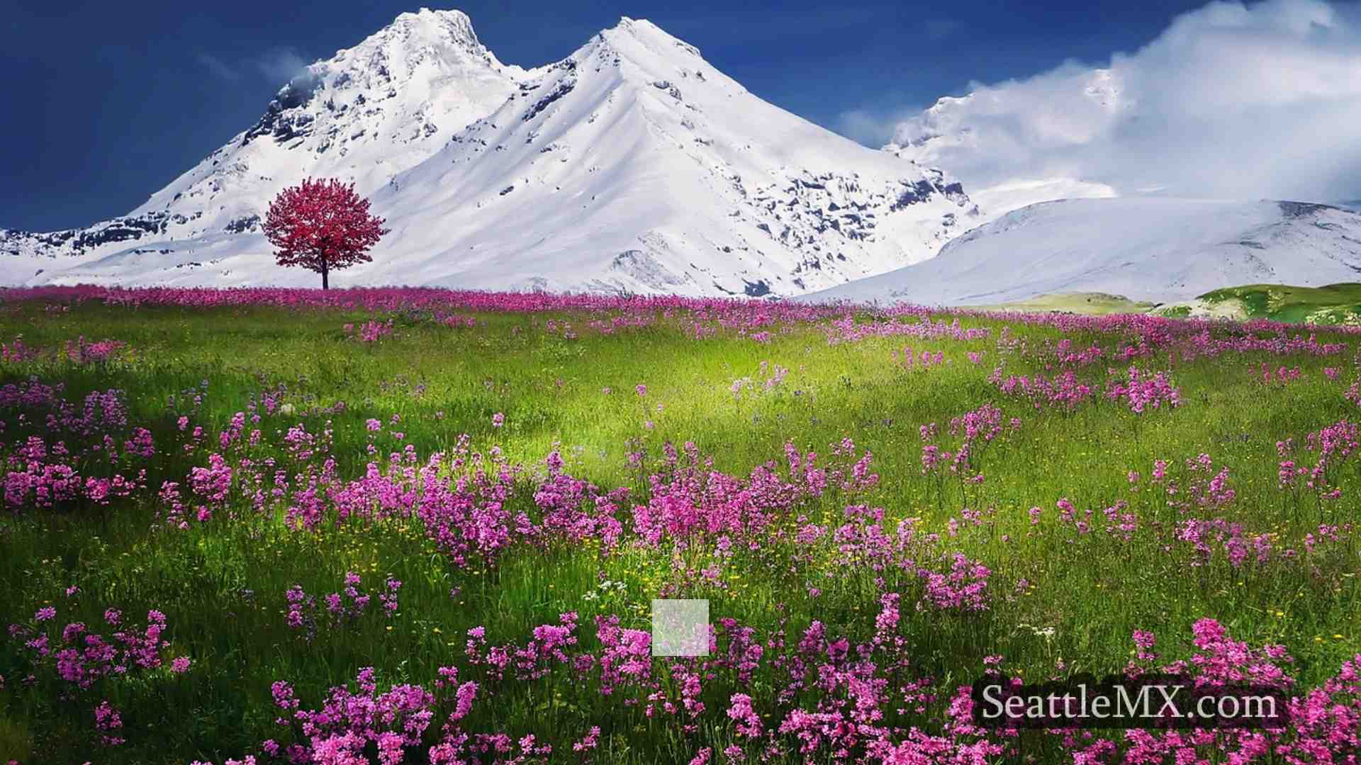Noticias de Seattle SeattleMX