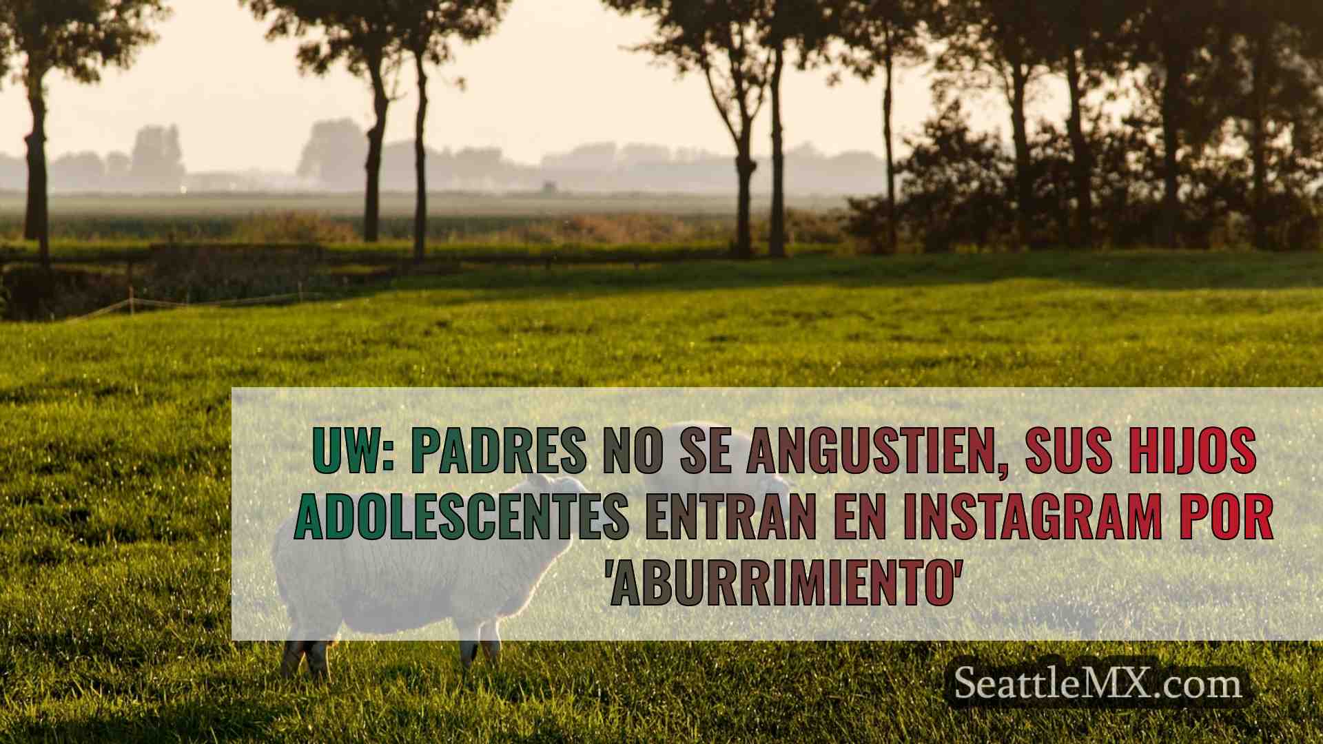 Noticias de Seattle SeattleMX