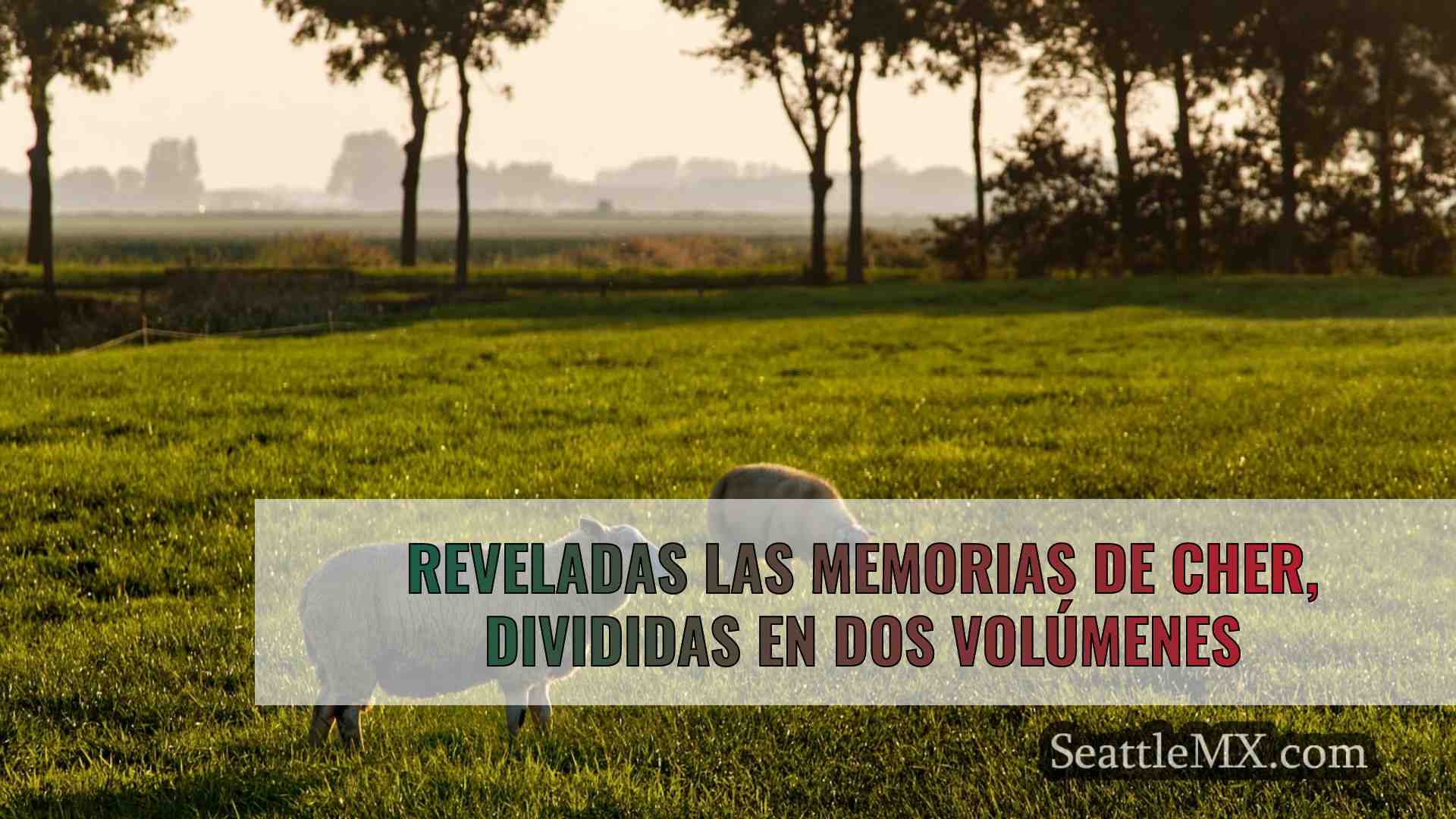 Noticias de Seattle SeattleMX