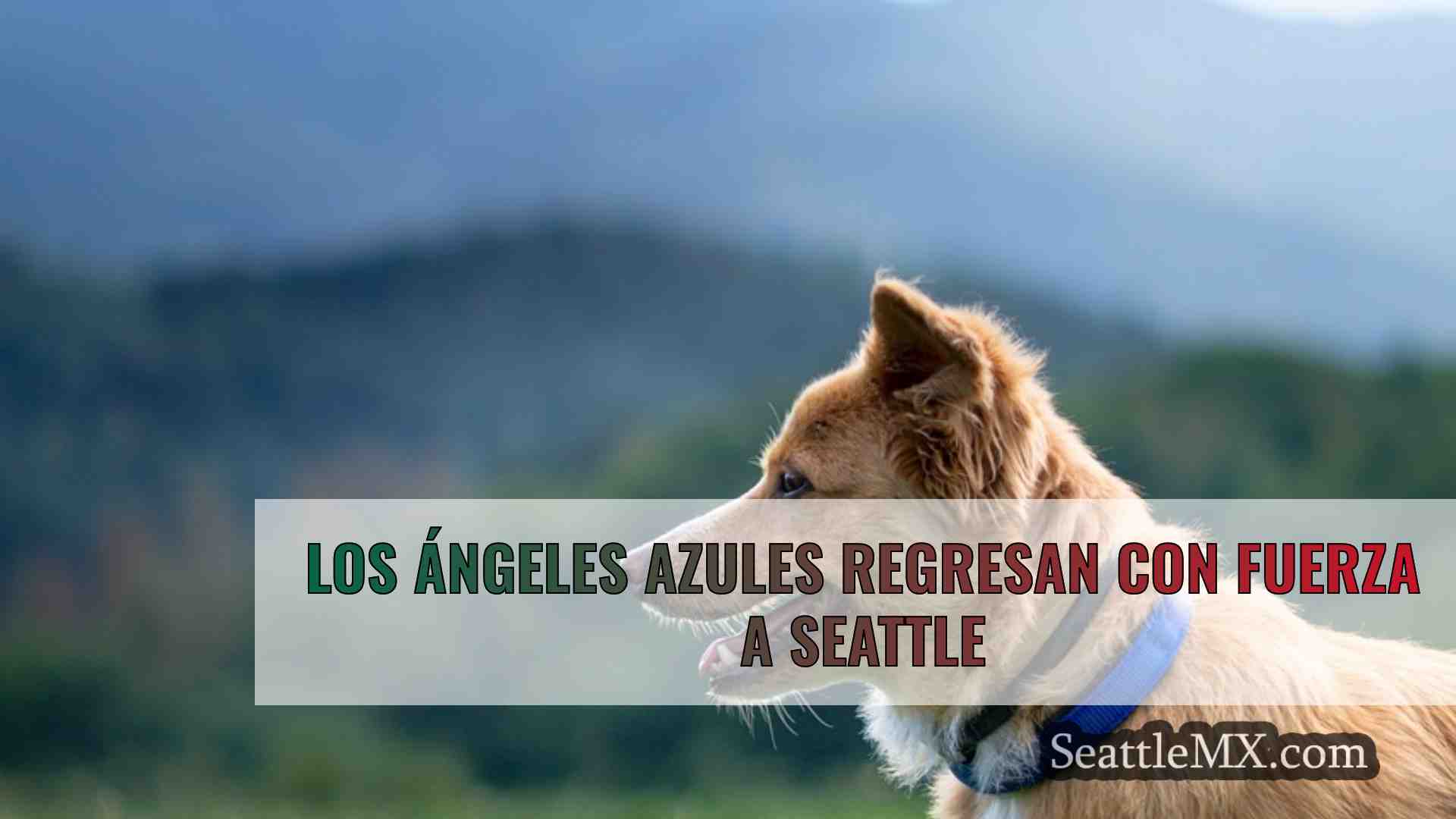 Noticias de Seattle SeattleMX