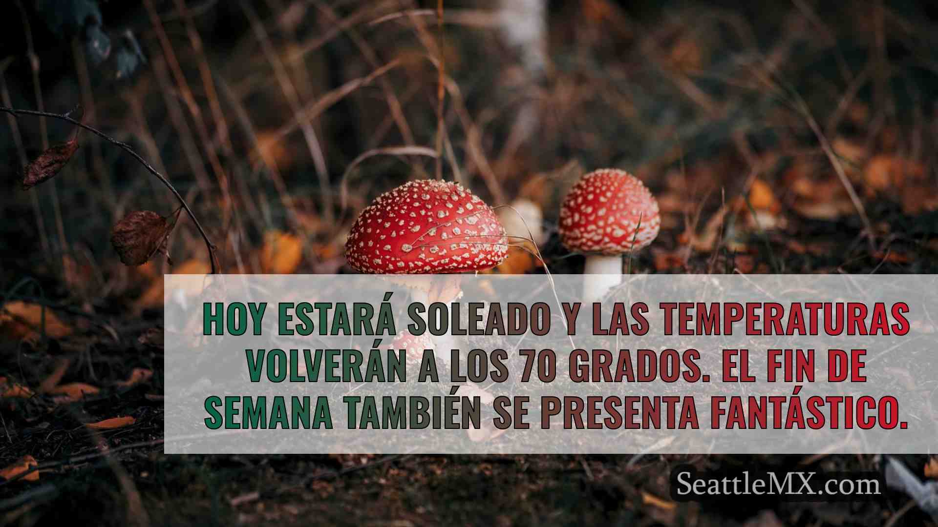Noticias de Seattle SeattleMX
