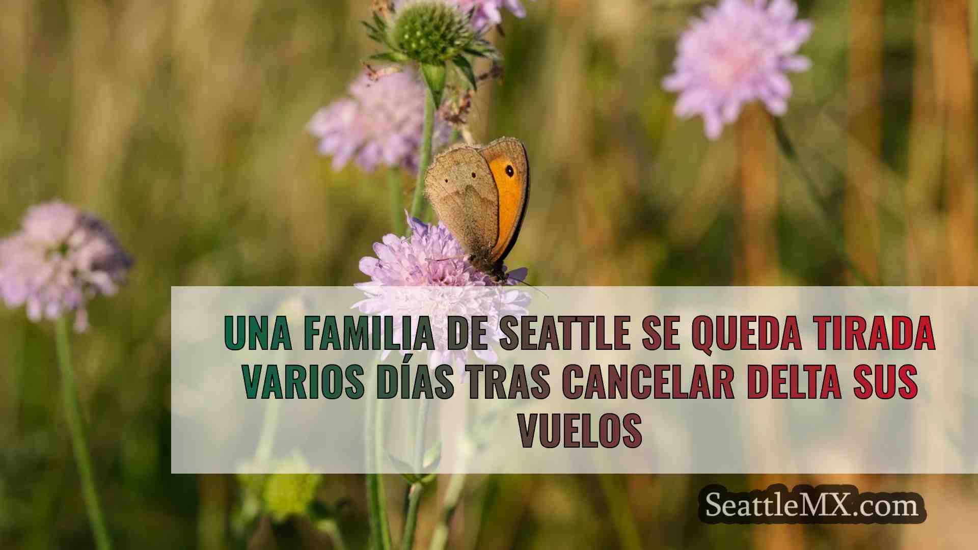 Noticias de Seattle SeattleMX