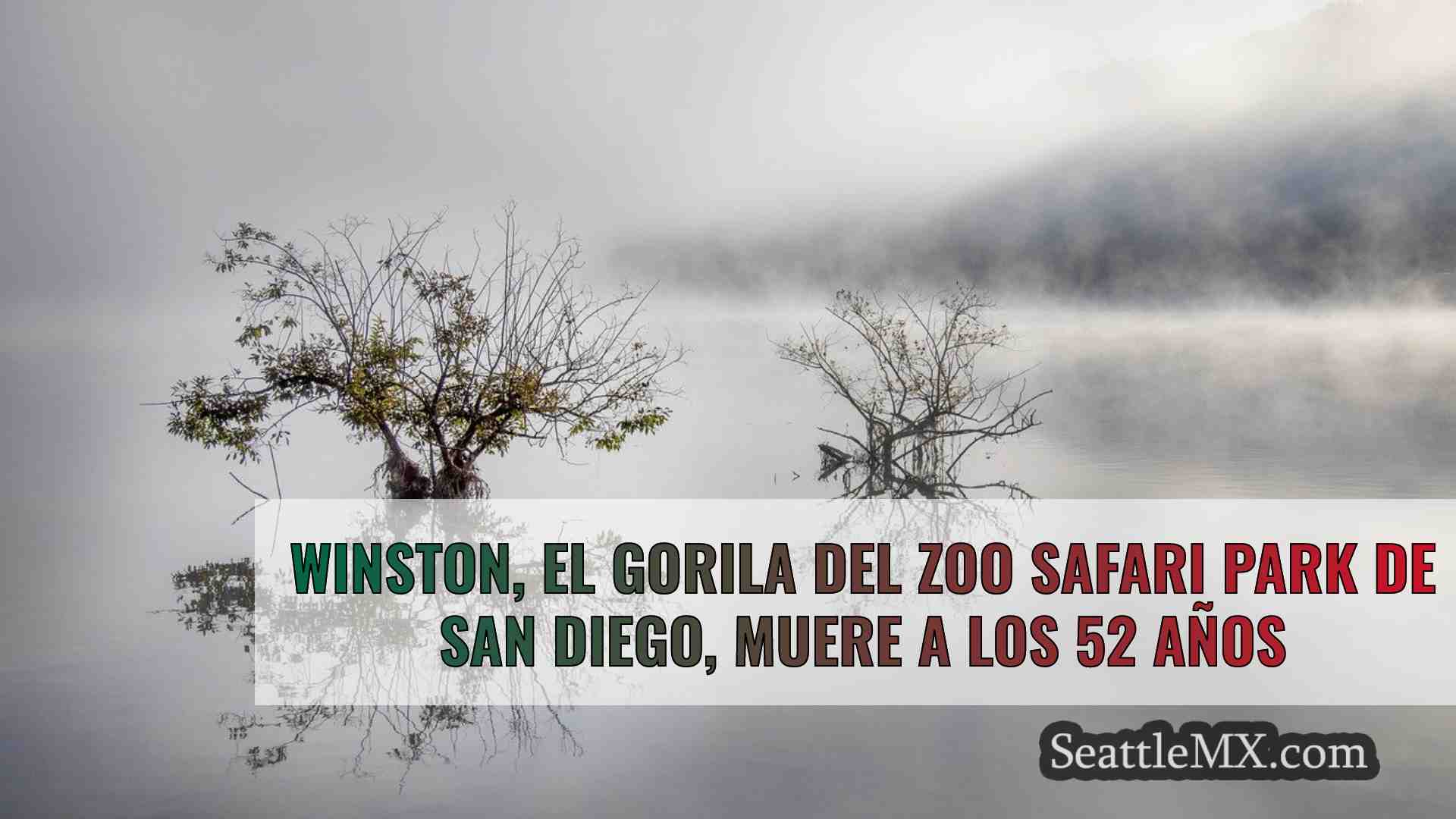 Noticias de Seattle SeattleMX
