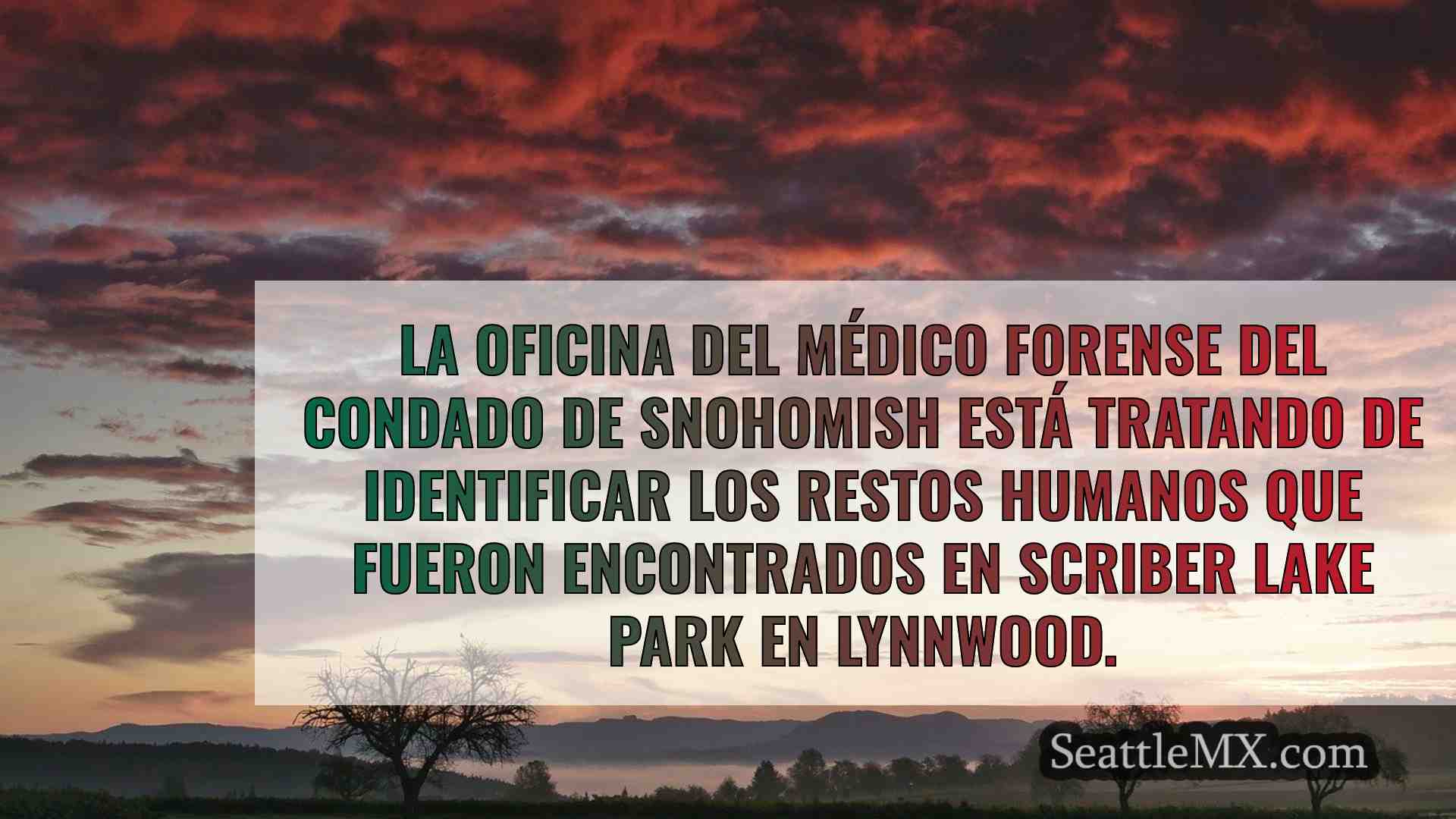 Noticias de Seattle SeattleMX