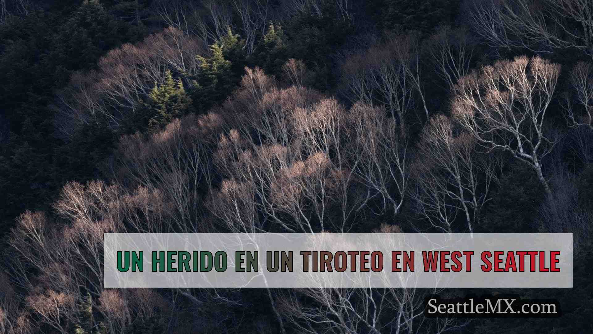 Noticias de Seattle SeattleMX