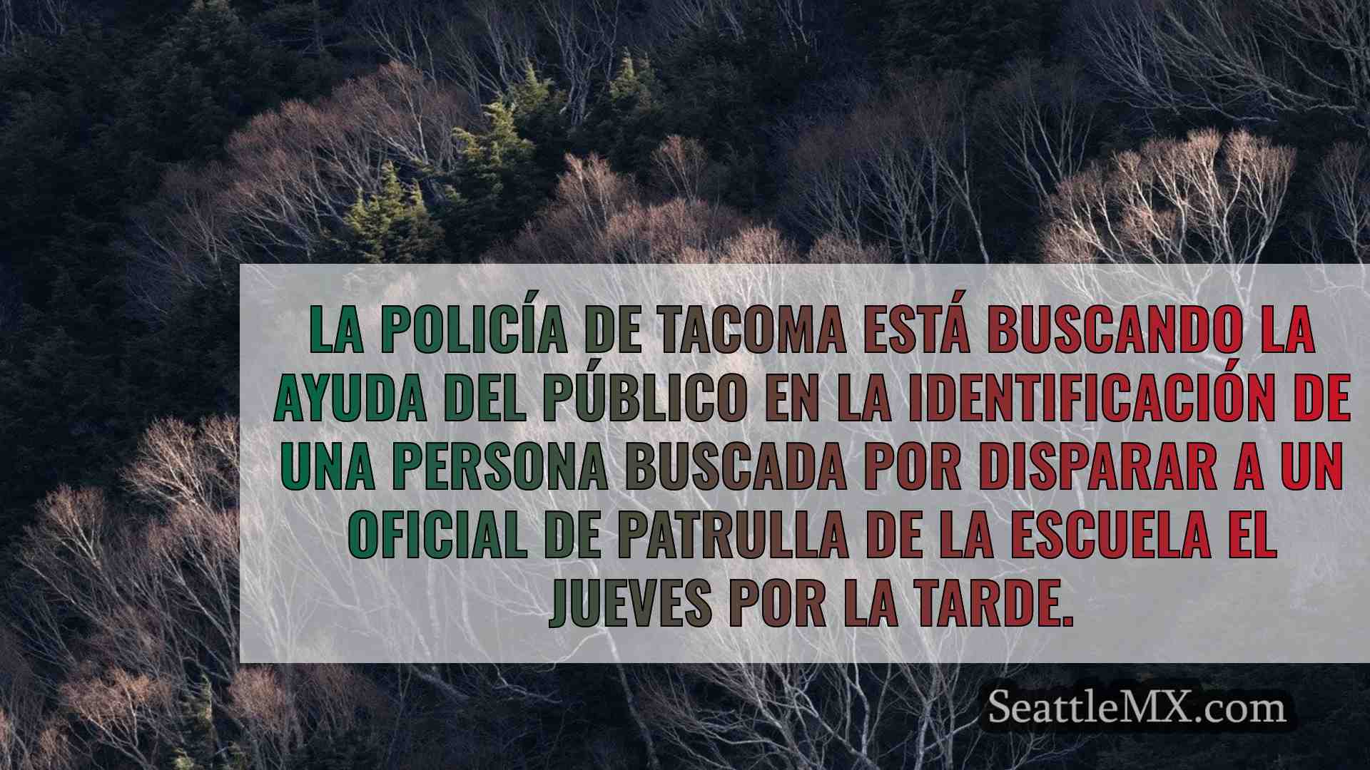 Noticias de Seattle SeattleMX