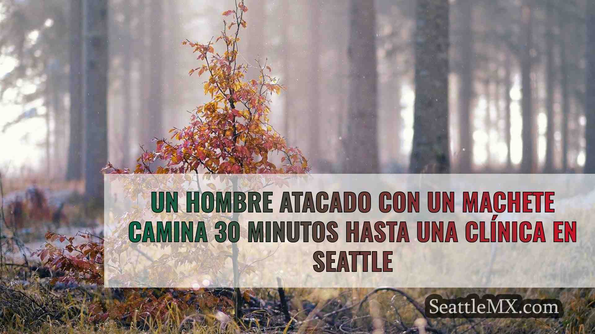 Noticias de Seattle SeattleMX