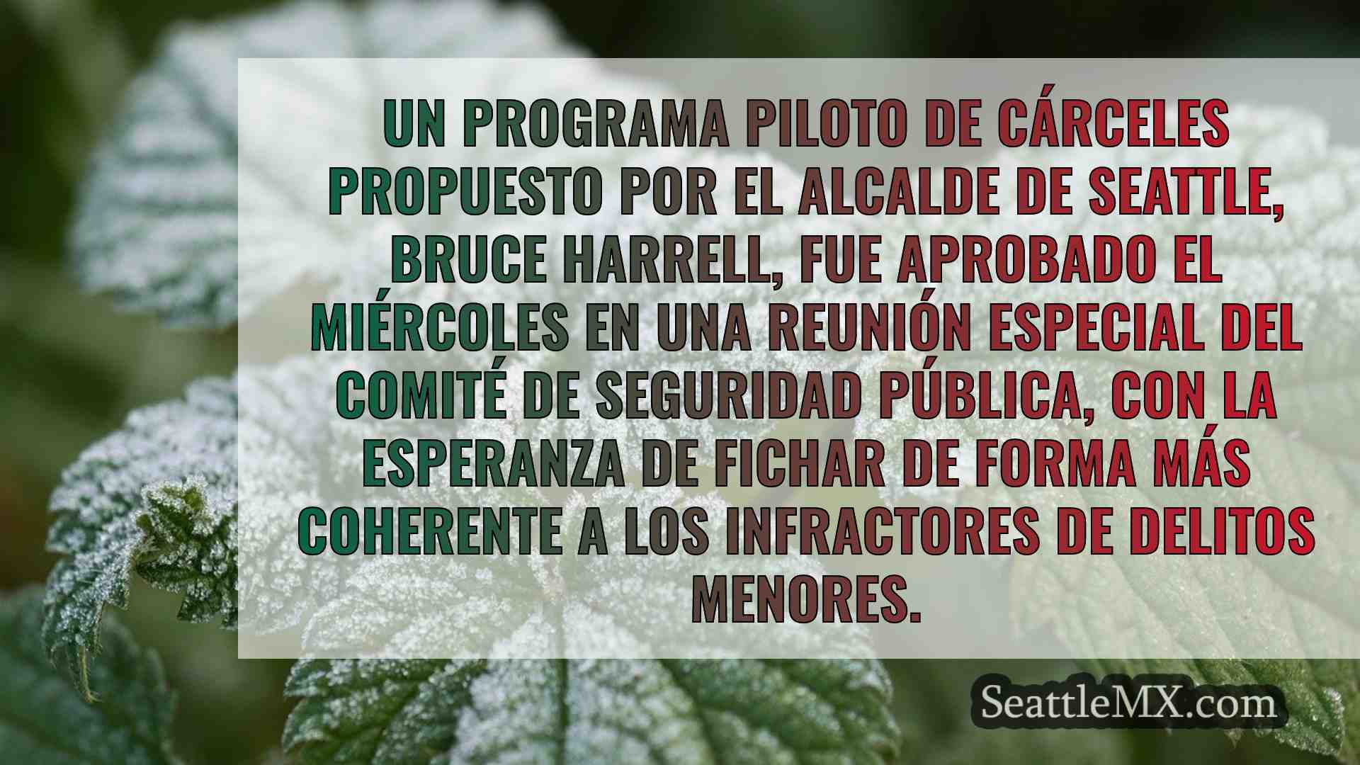 Noticias de Seattle SeattleMX