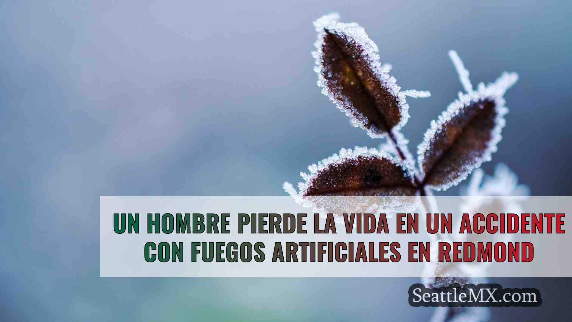 Noticias de Seattle SeattleMX