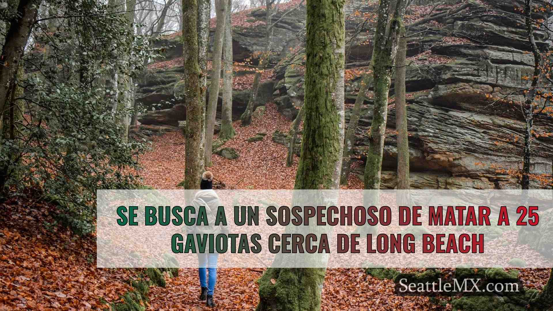 Noticias de Seattle SeattleMX