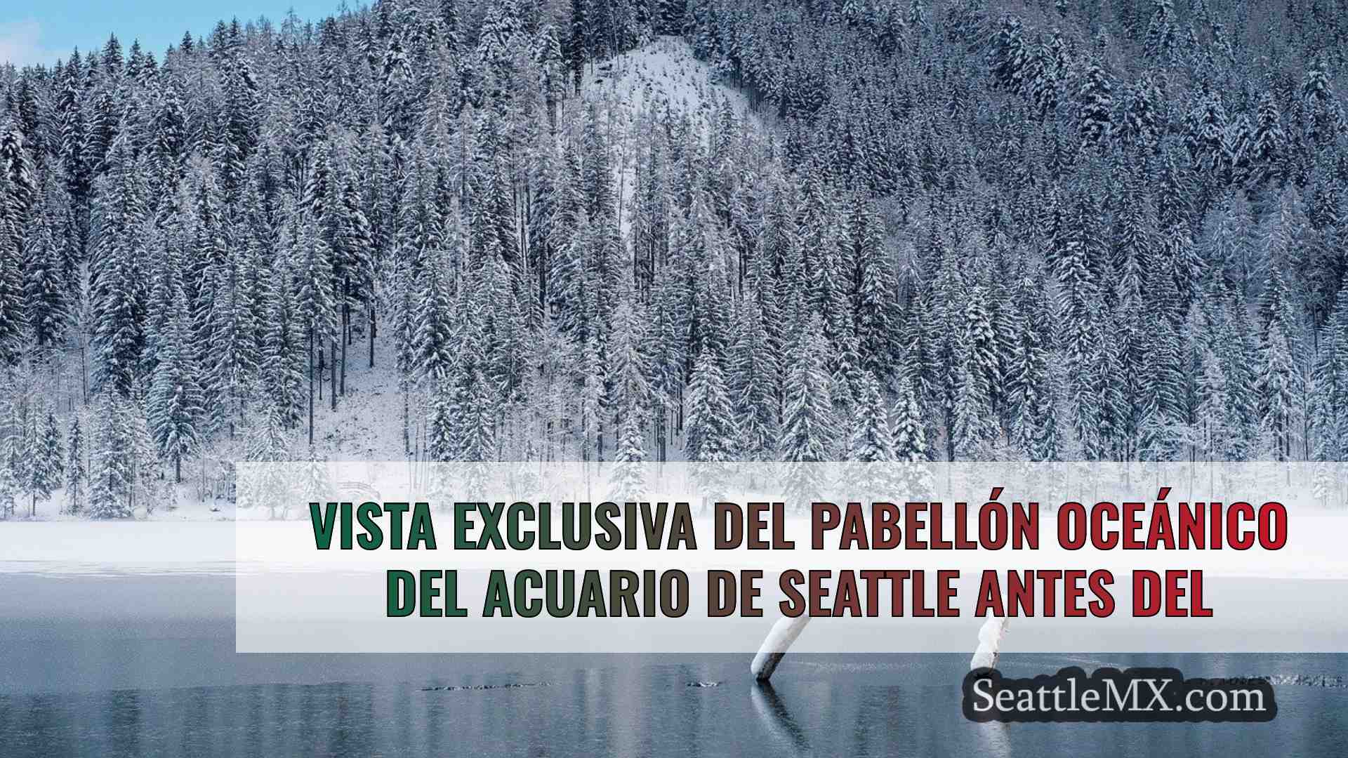 Vista exclusiva del Pabellón Oceánico