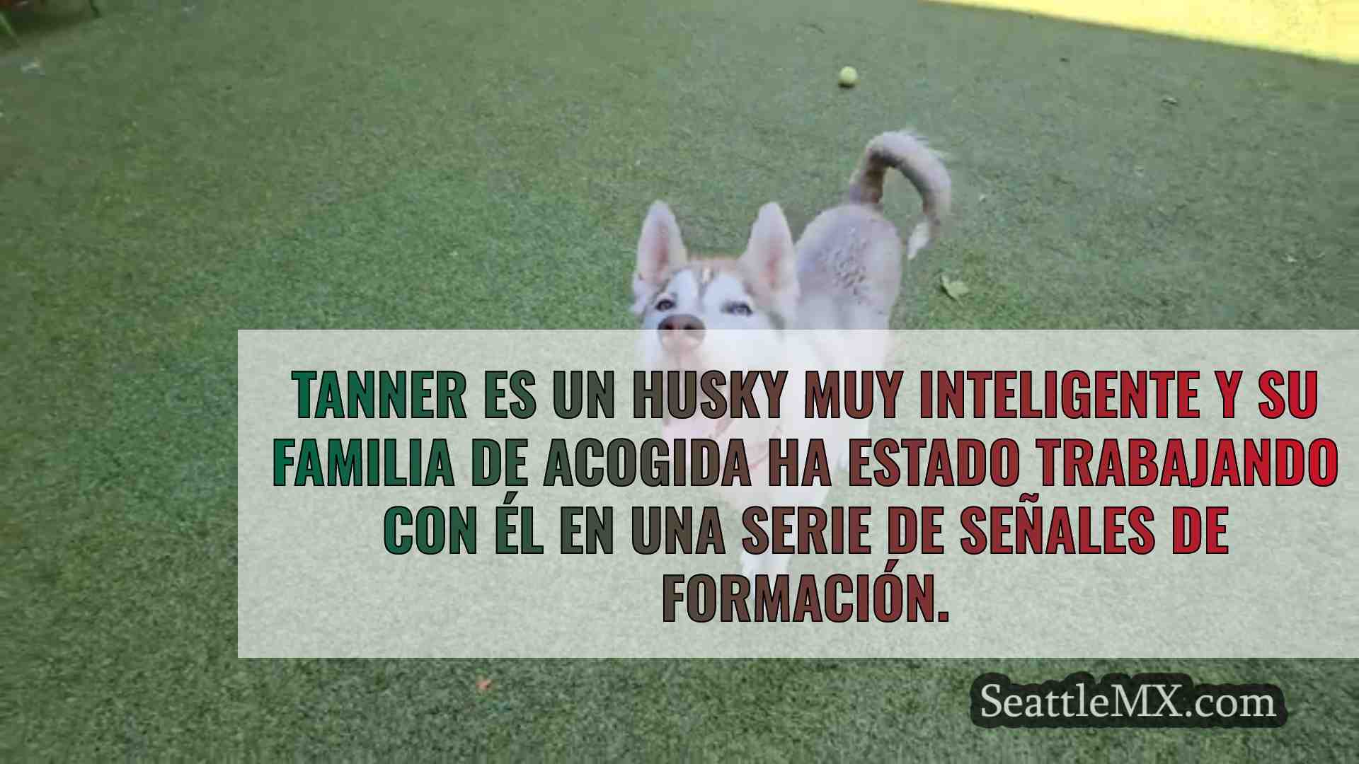Noticias de Seattle SeattleMX