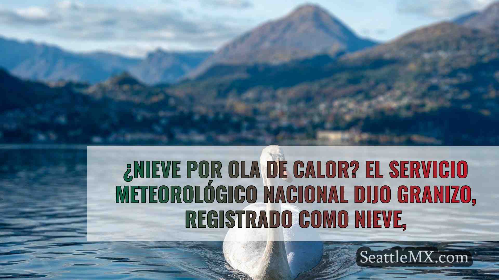 Noticias de Seattle SeattleMX