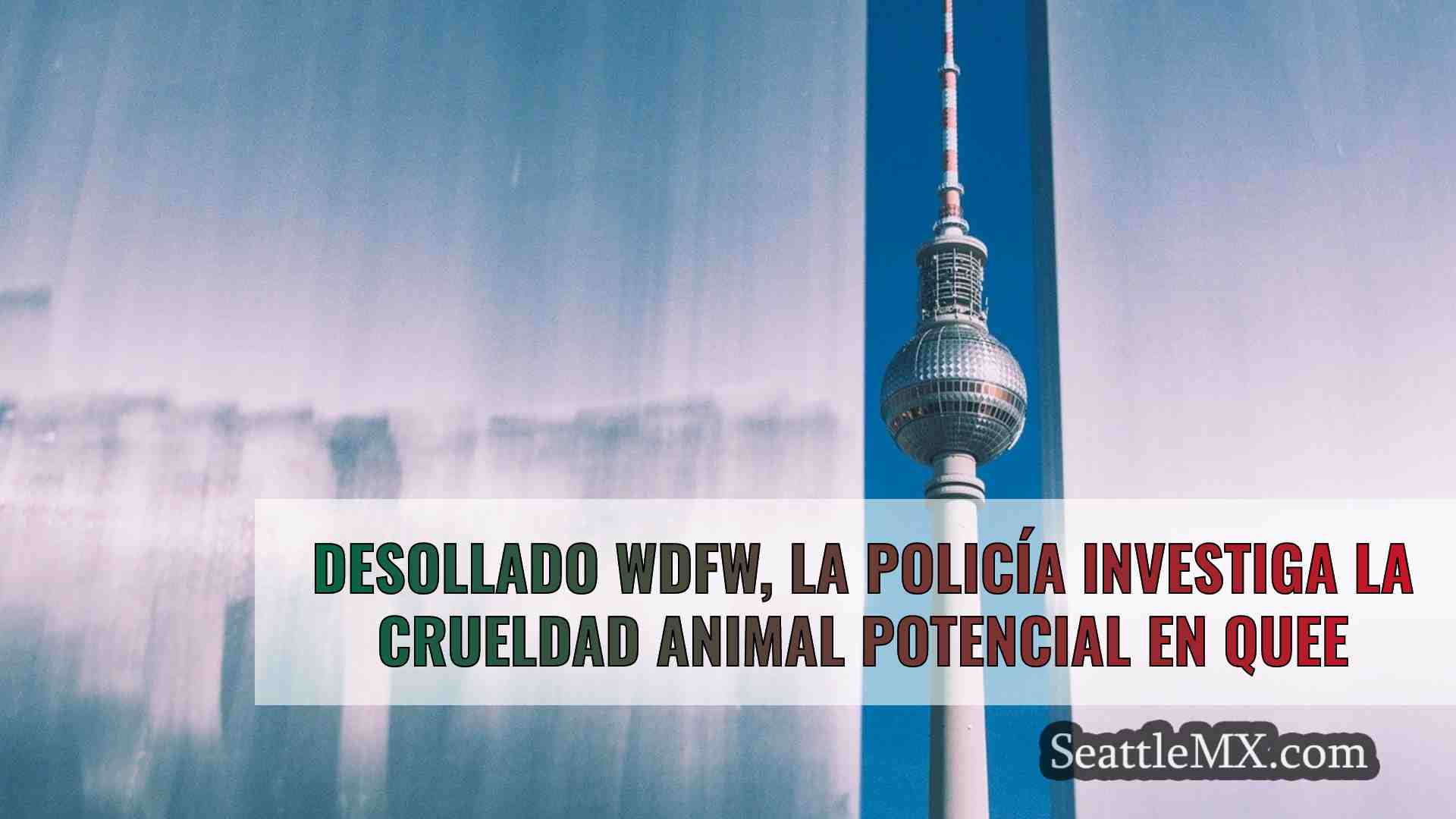 Noticias de Seattle SeattleMX