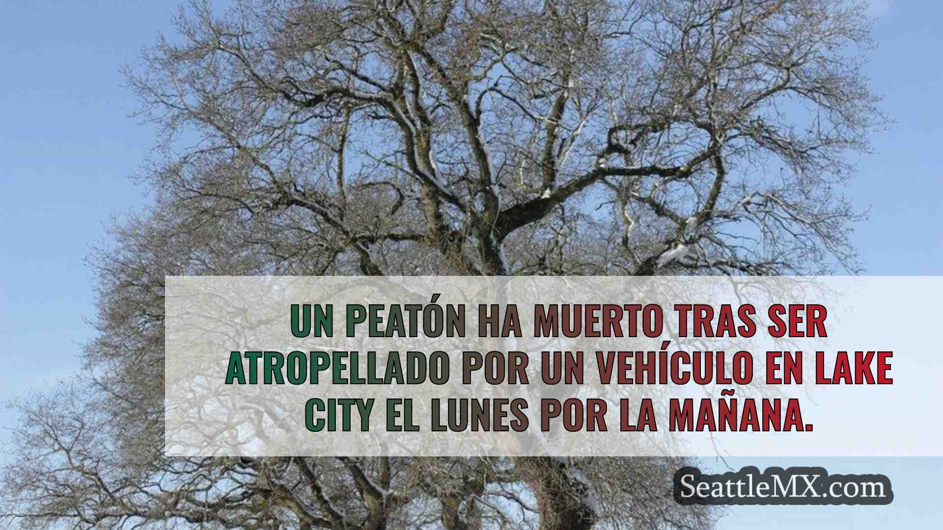 Noticias de Seattle SeattleMX