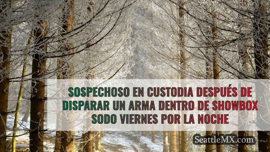 Sospechoso en custodia después de
