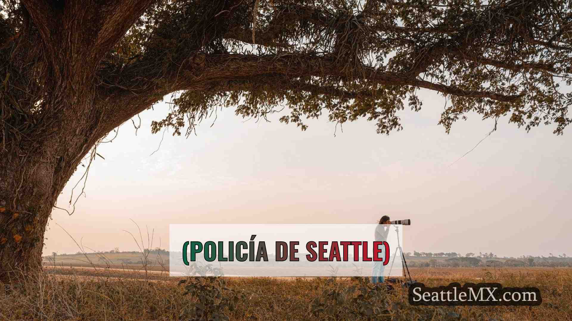 Noticias de Seattle SeattleMX