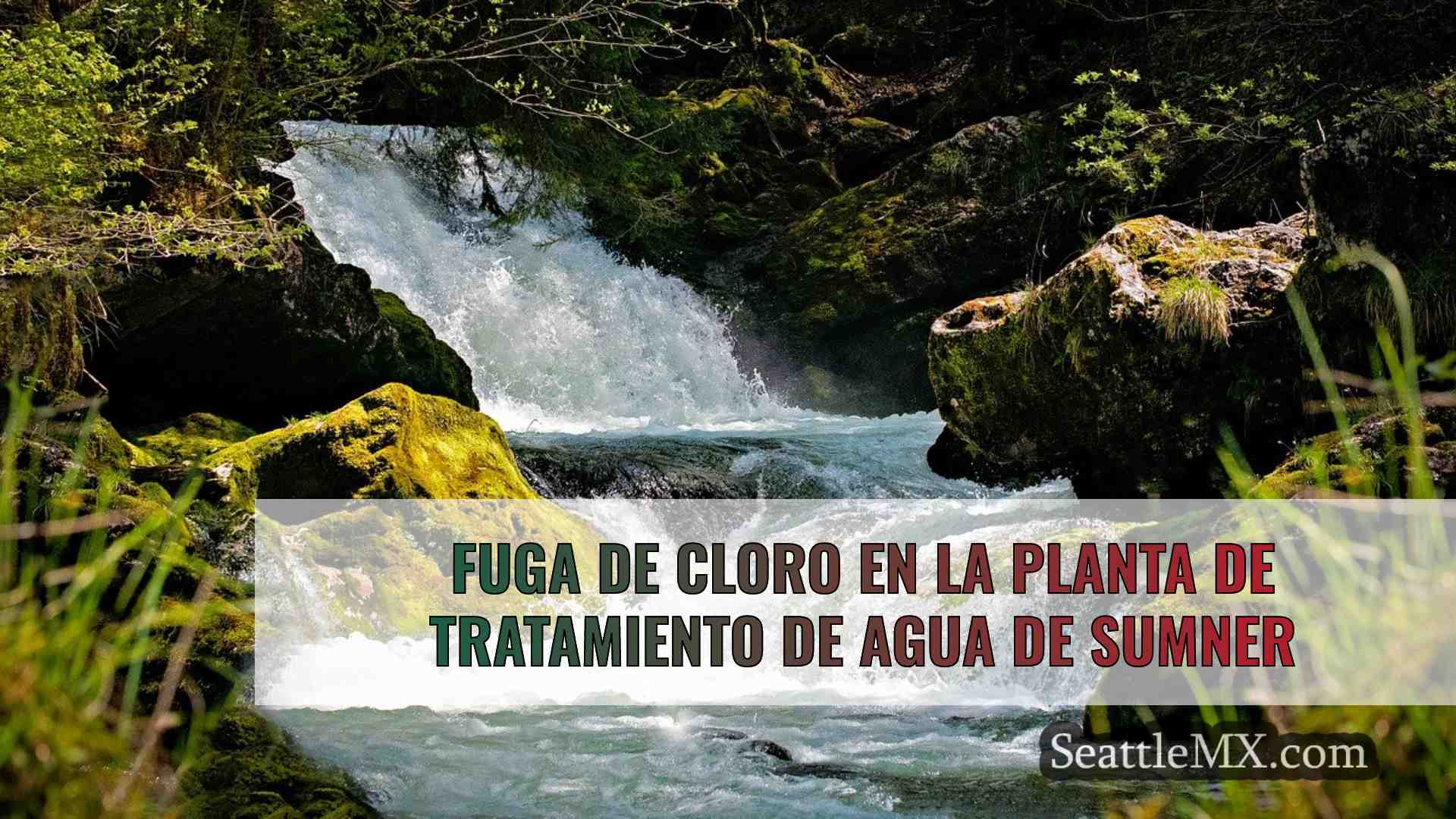 Noticias de Seattle SeattleMX