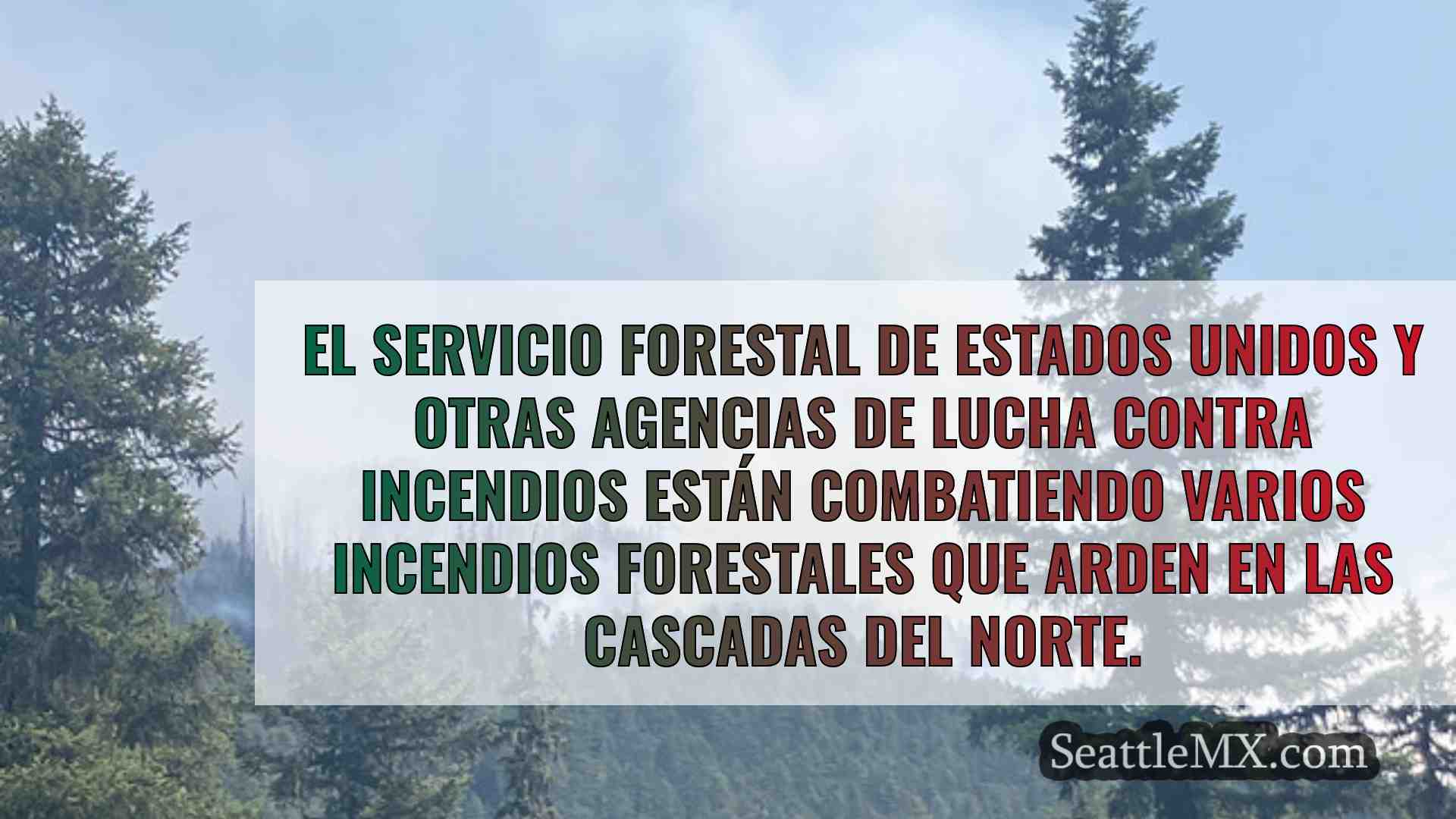 Noticias de Seattle SeattleMX