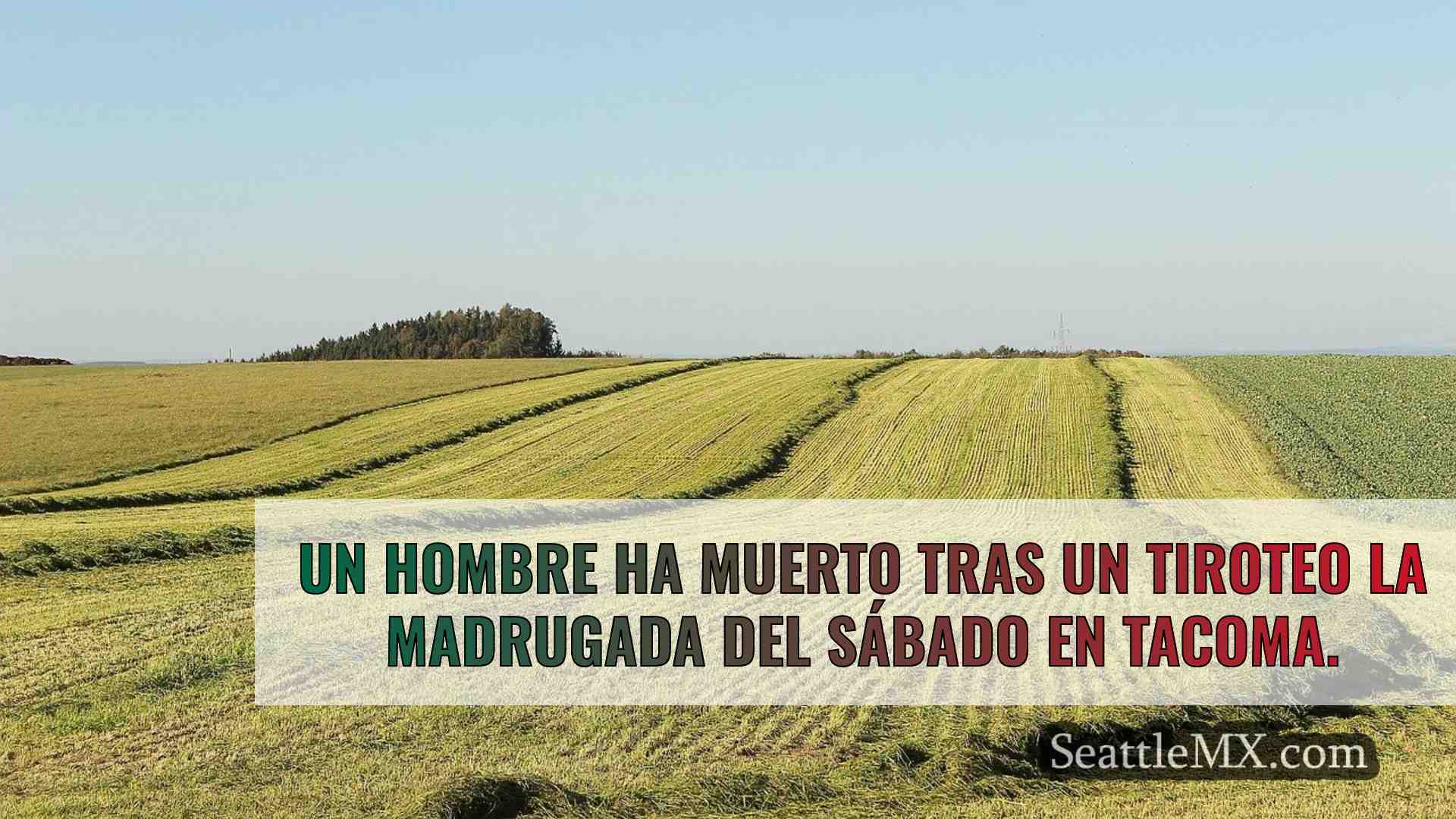 Noticias de Seattle SeattleMX