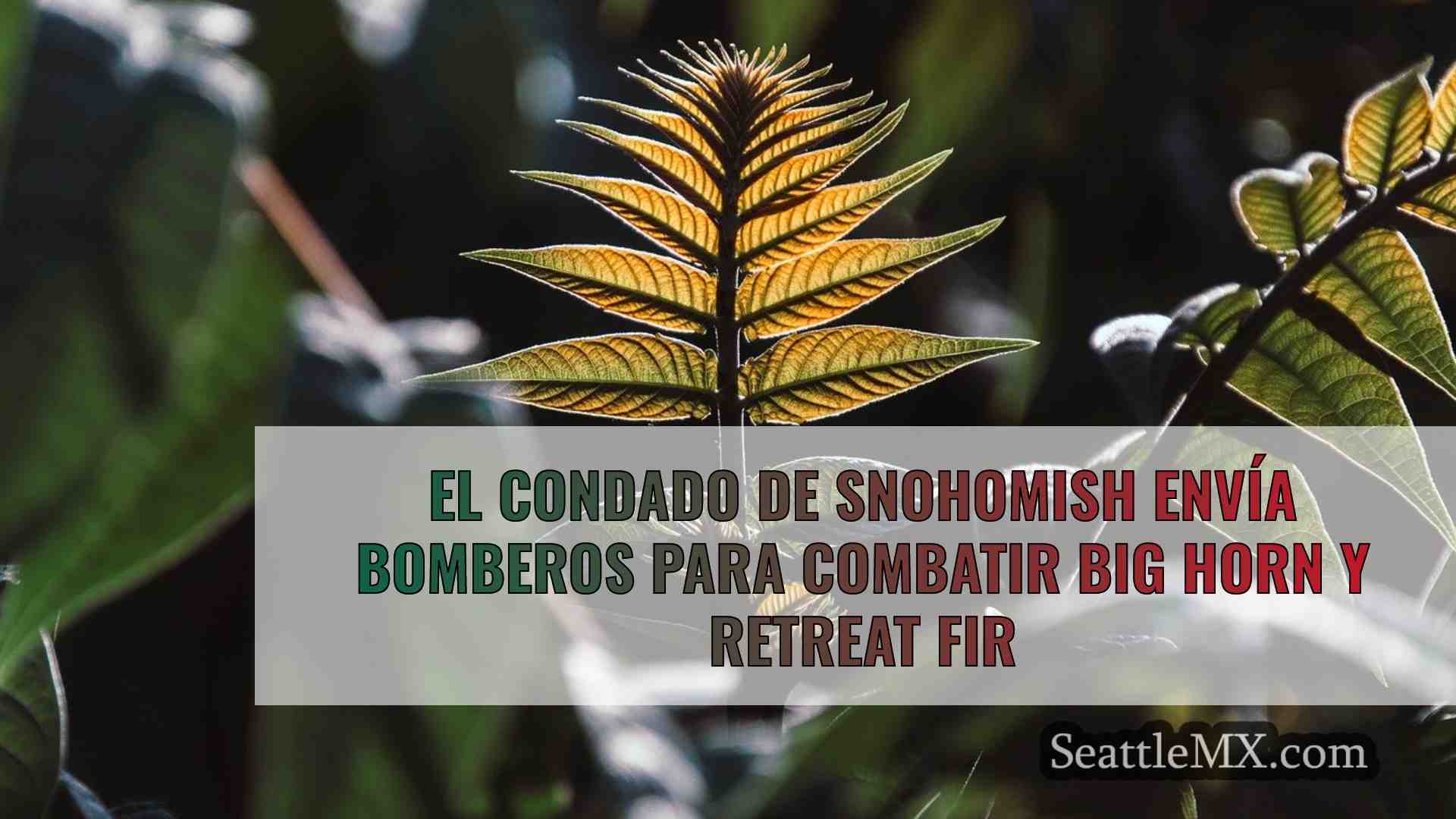 Noticias de Seattle SeattleMX