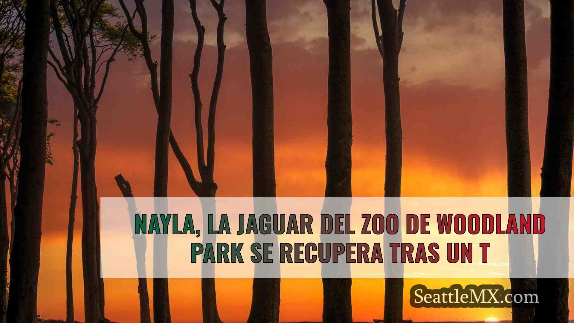 Noticias de Seattle SeattleMX