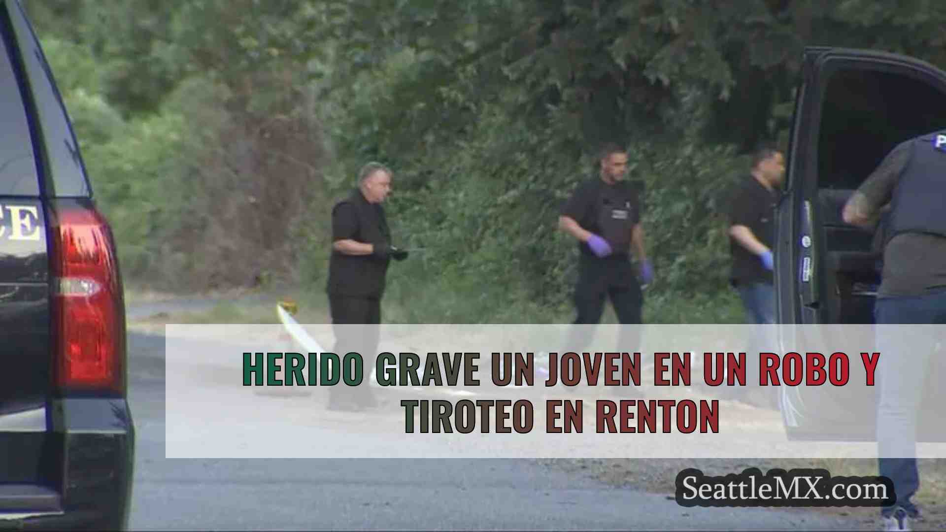 Herido grave un joven en un robo y