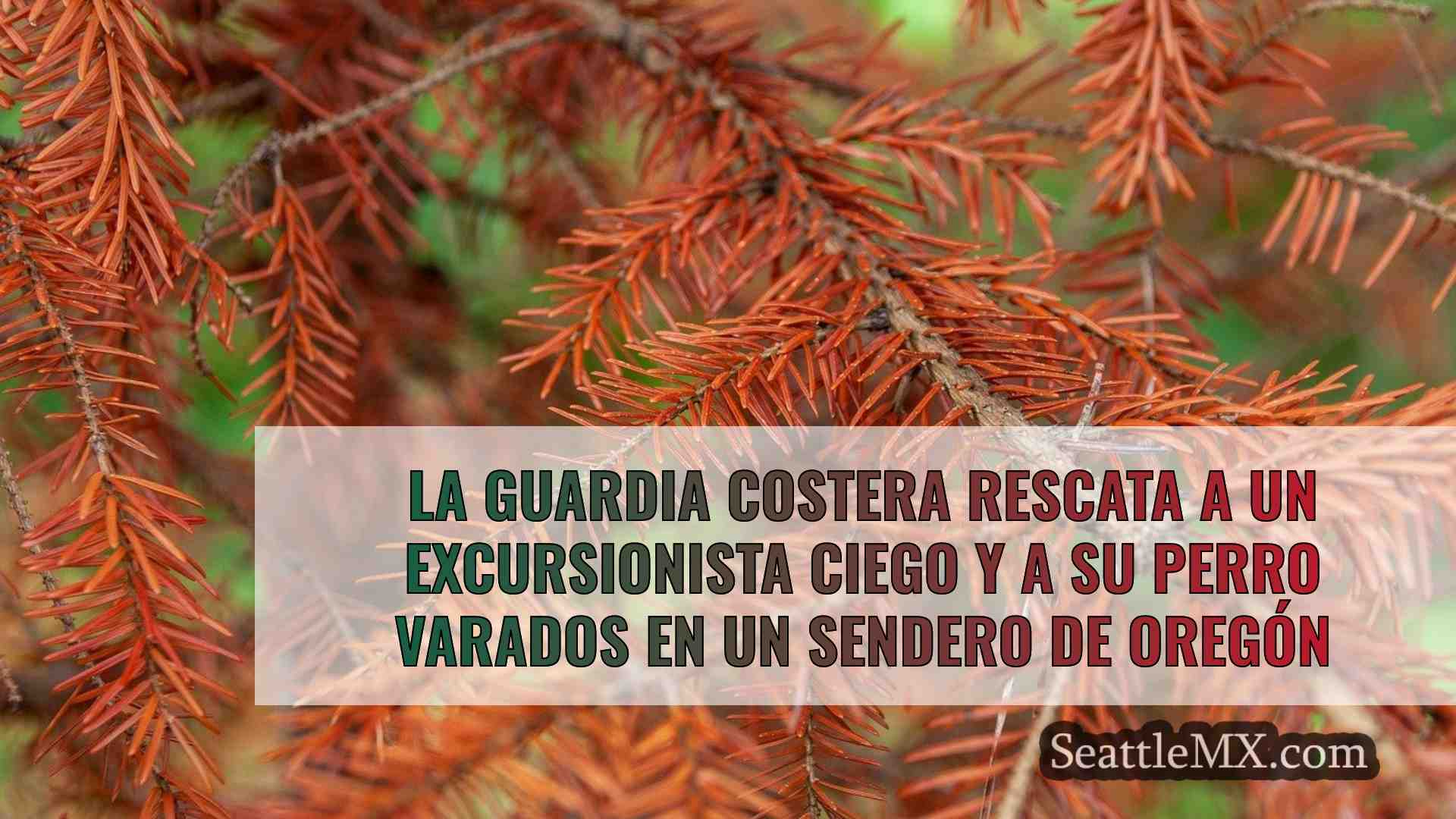 Noticias de Seattle SeattleMX