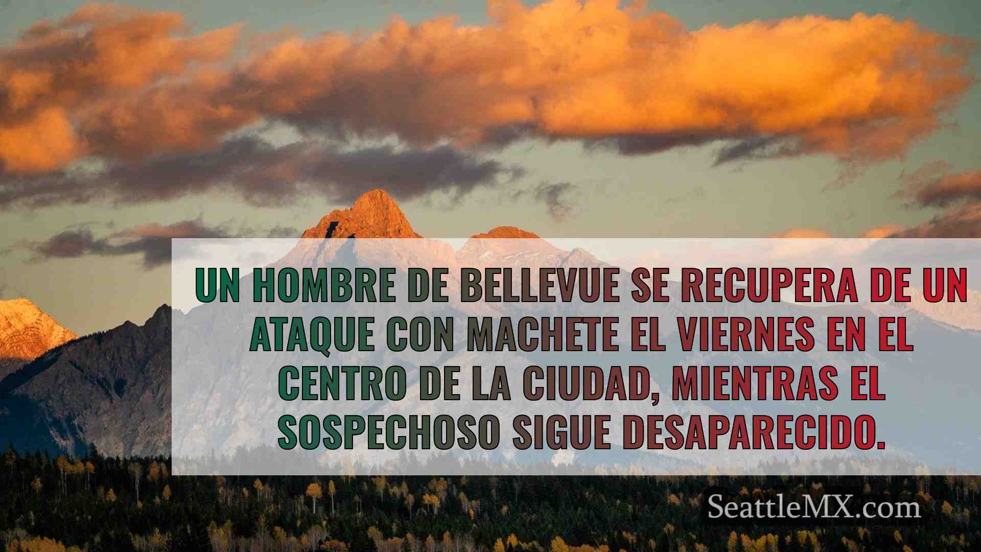 Noticias de Seattle SeattleMX