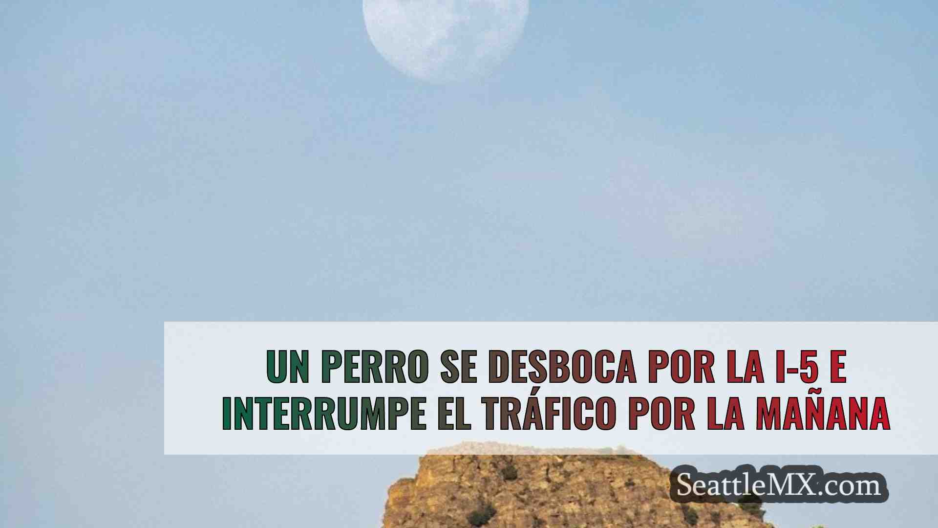 Noticias de Seattle SeattleMX