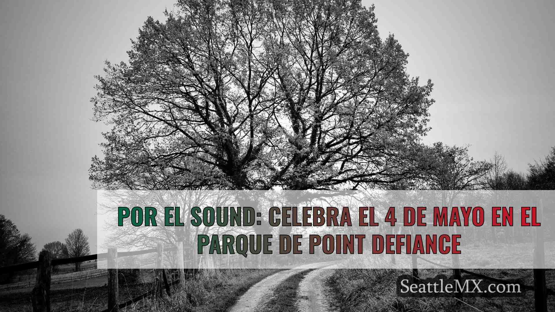 Noticias de Seattle SeattleMX
