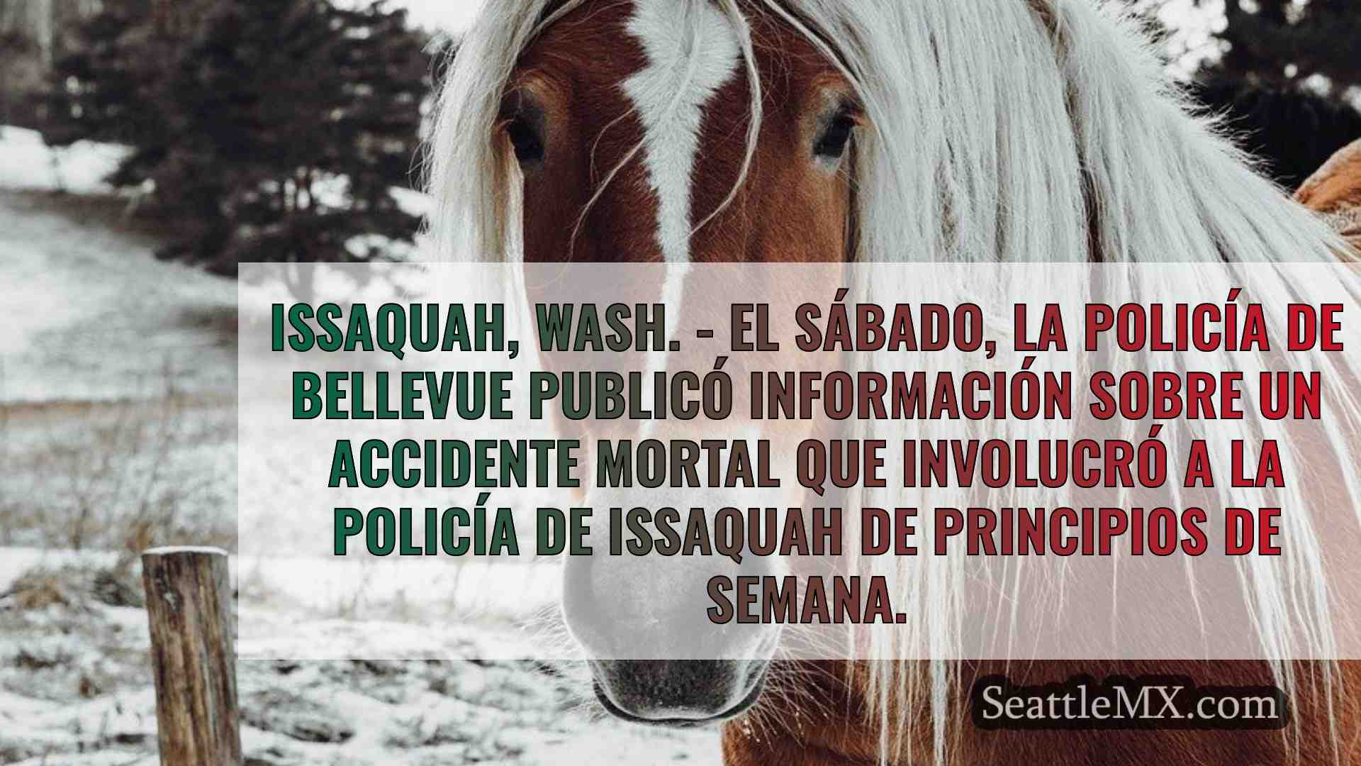 Noticias de Seattle SeattleMX