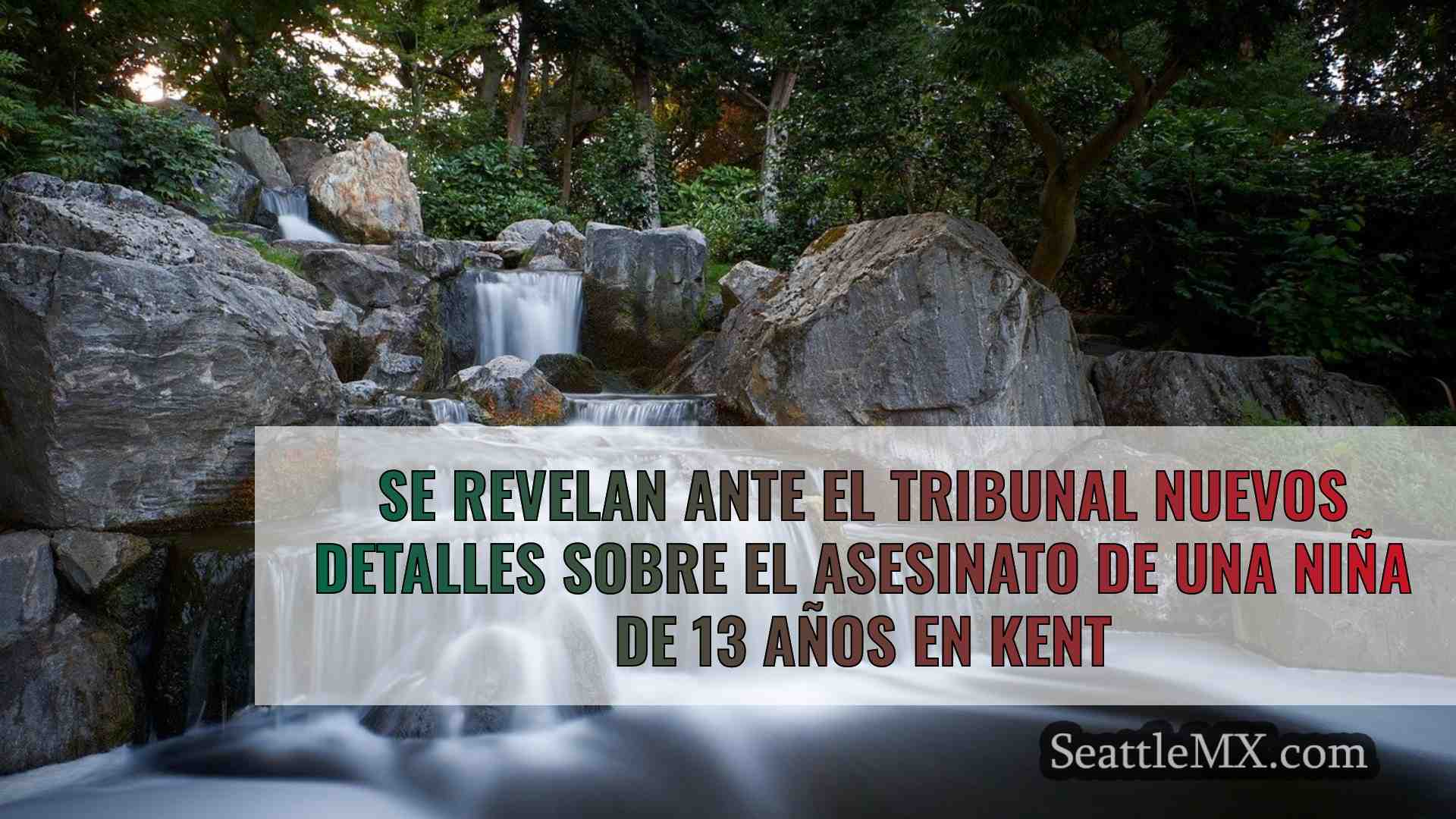 Se revelan ante el tribunal nuevos