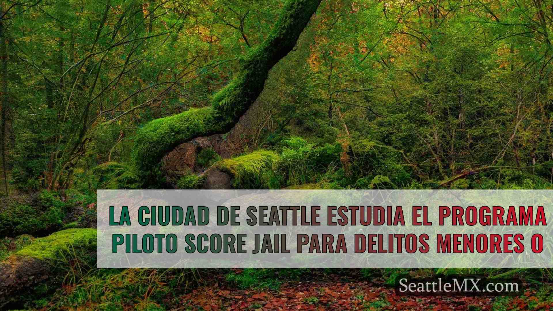 Noticias de Seattle SeattleMX