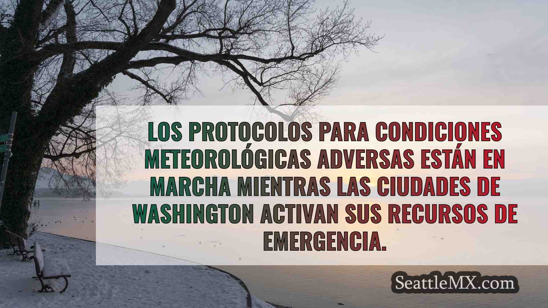 Noticias de Seattle SeattleMX