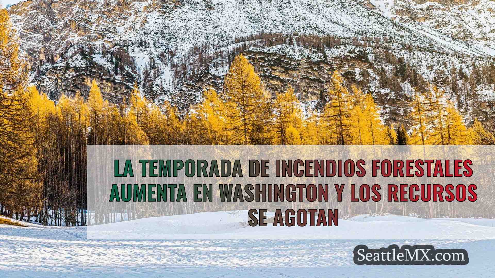 Noticias de Seattle SeattleMX