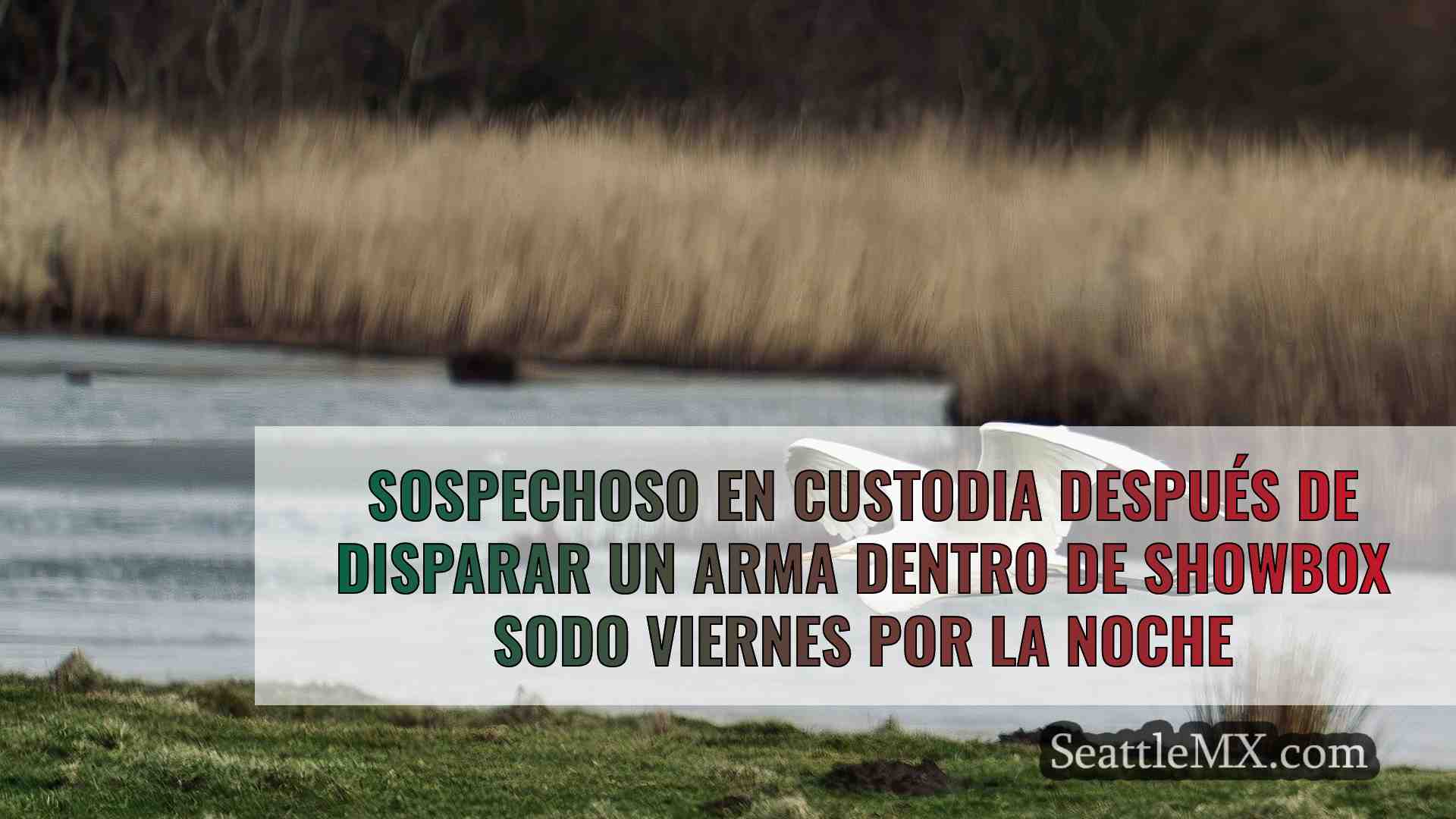 Noticias de Seattle SeattleMX
