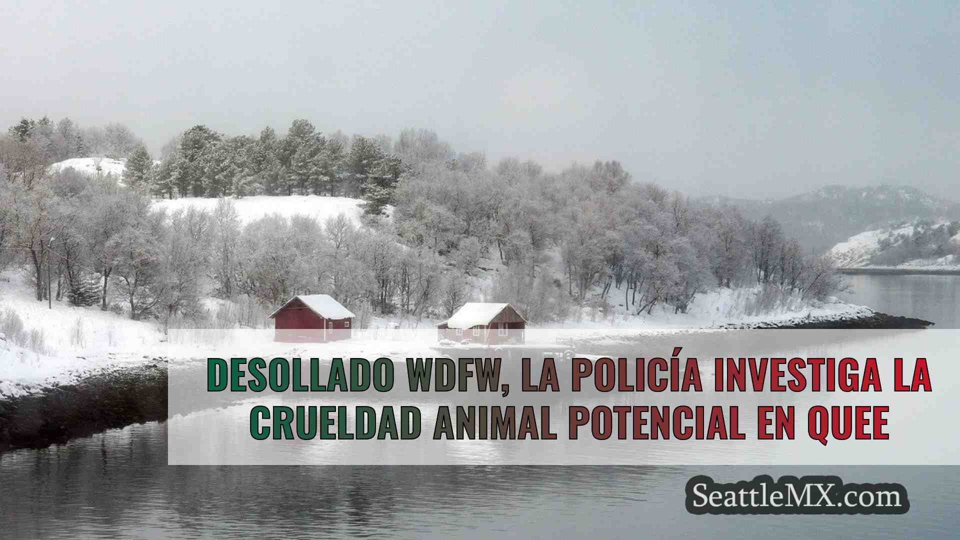 Noticias de Seattle SeattleMX