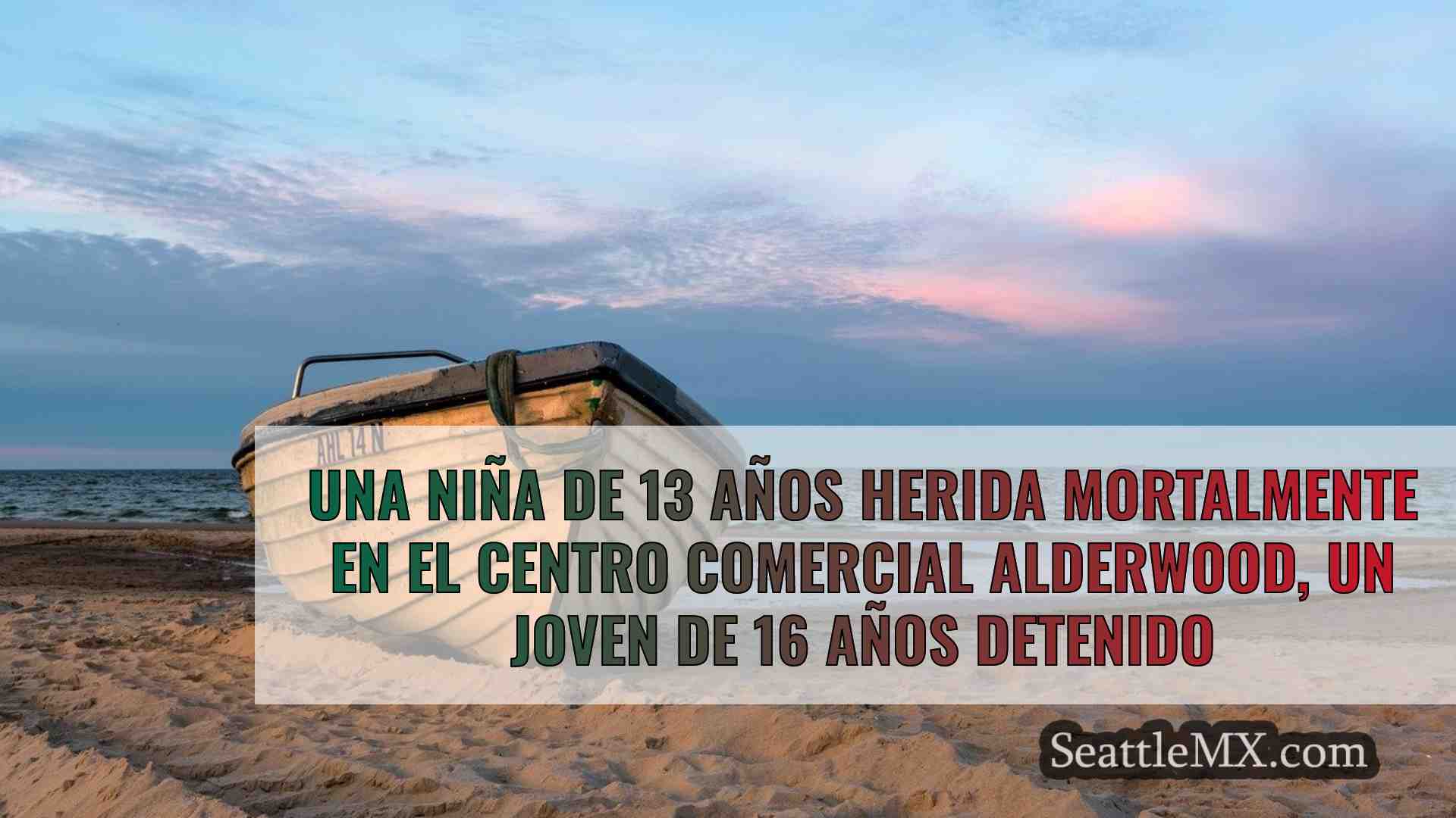 Una niña de 13 años herida mortalmente