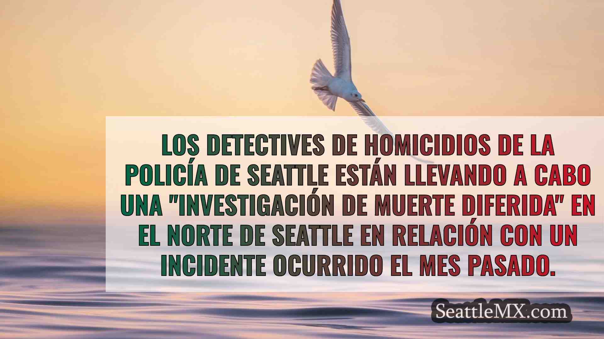 Noticias de Seattle SeattleMX