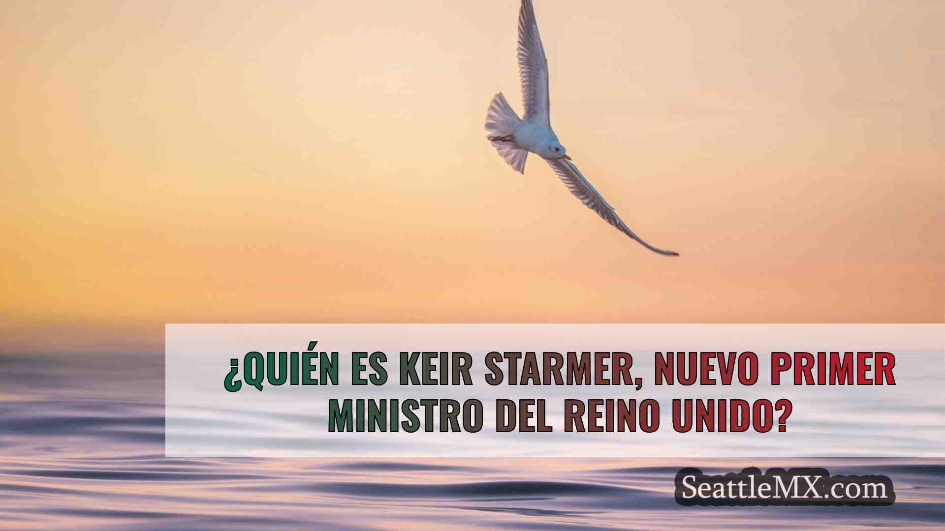Noticias de Seattle SeattleMX