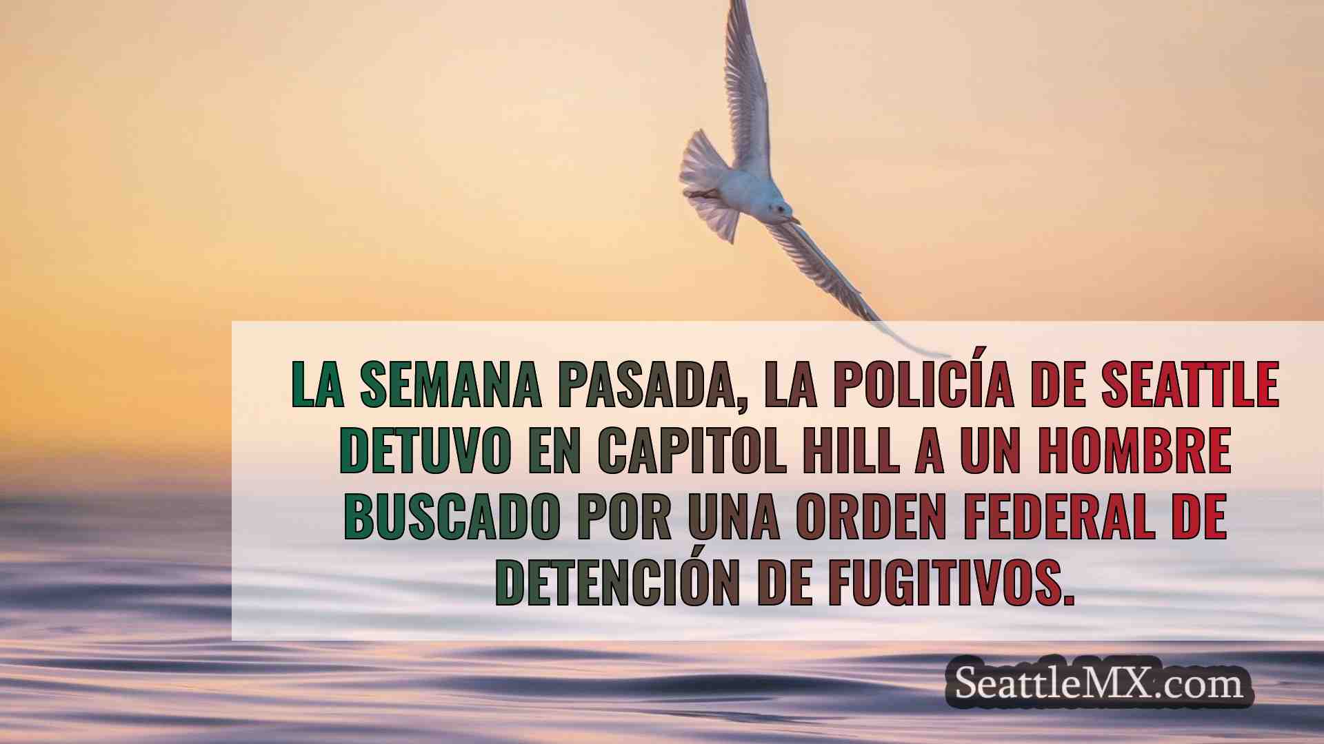 Noticias de Seattle SeattleMX