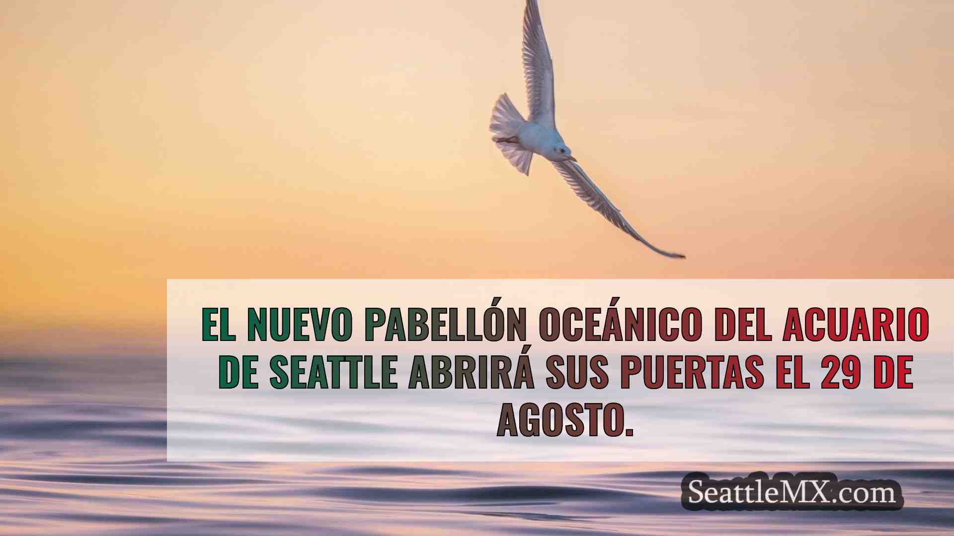 El nuevo Pabellón Oceánico del Acuario
