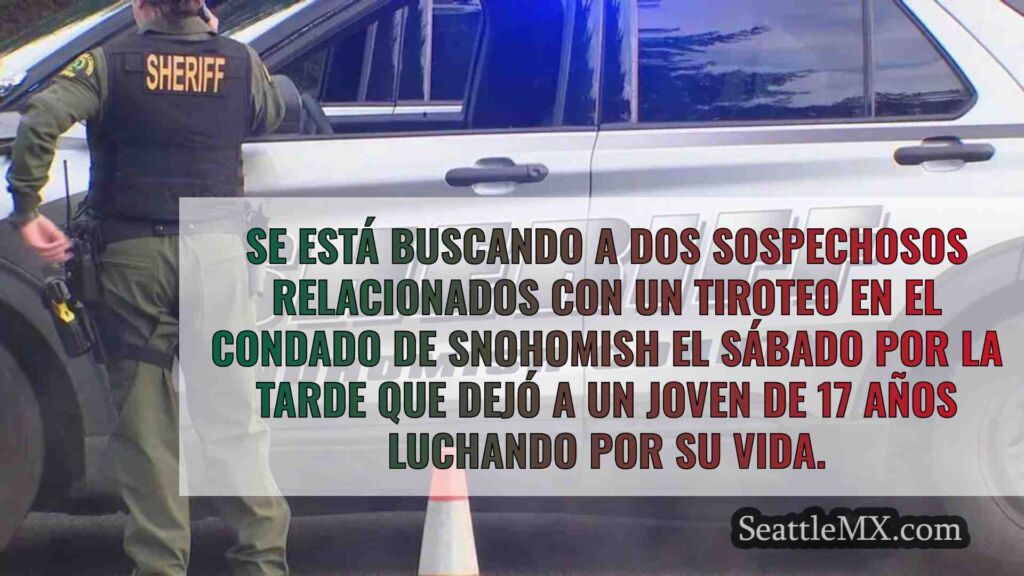 Un adolescente lucha por su vida tras