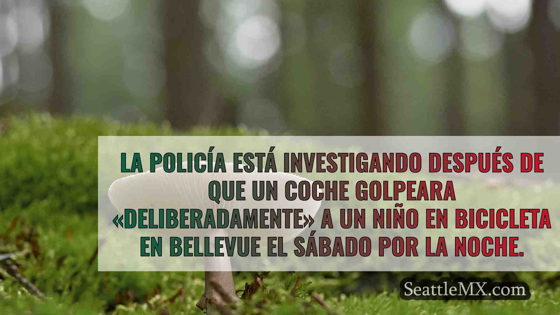 Noticias de Seattle SeattleMX