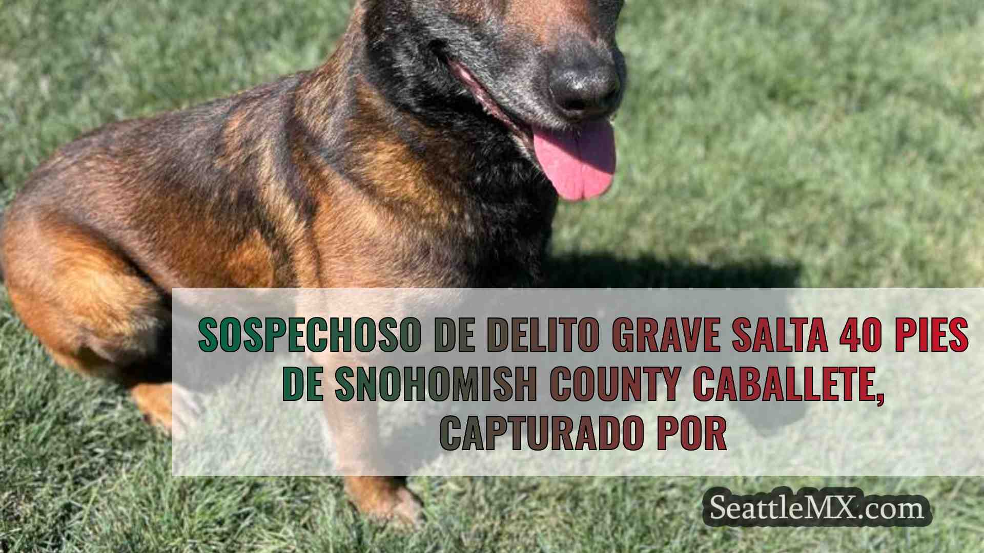 Sospechoso de delito grave salta 40