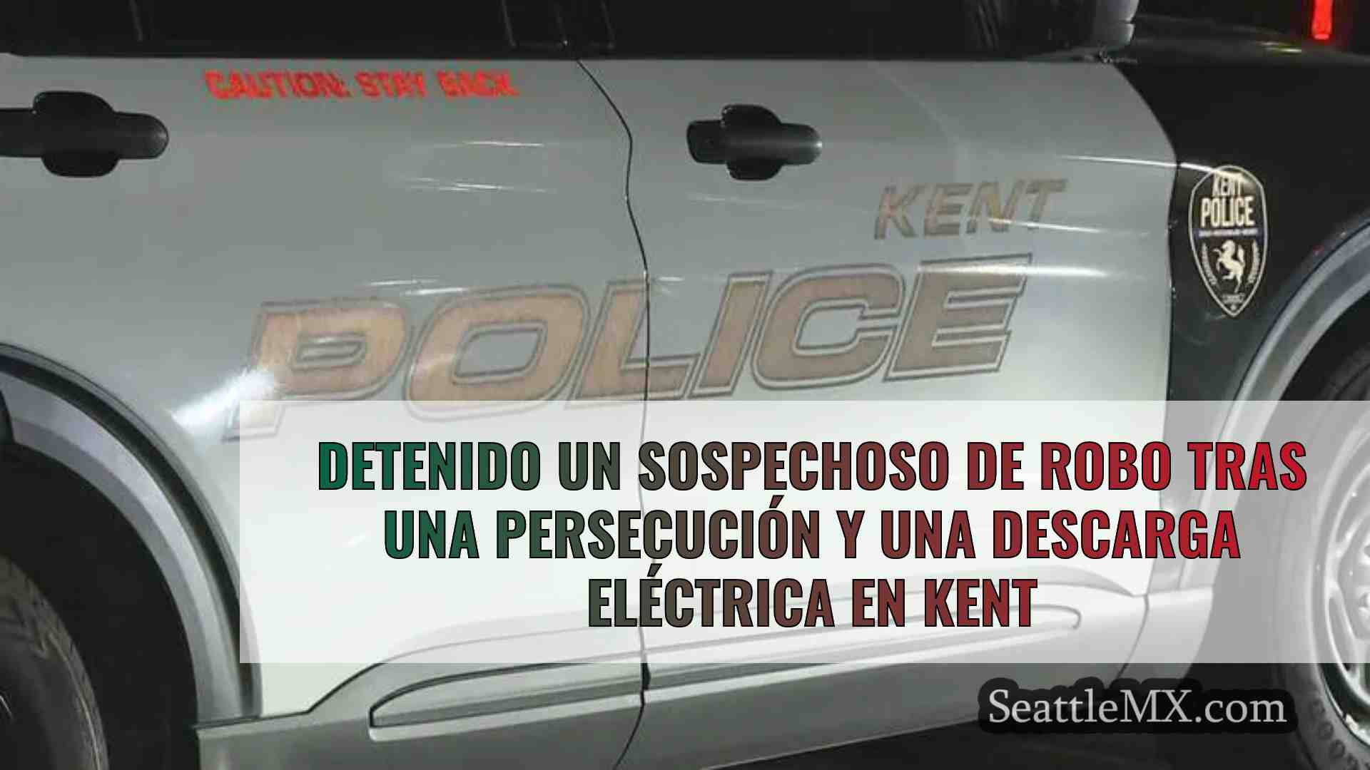 Detenido un sospechoso de robo tras una