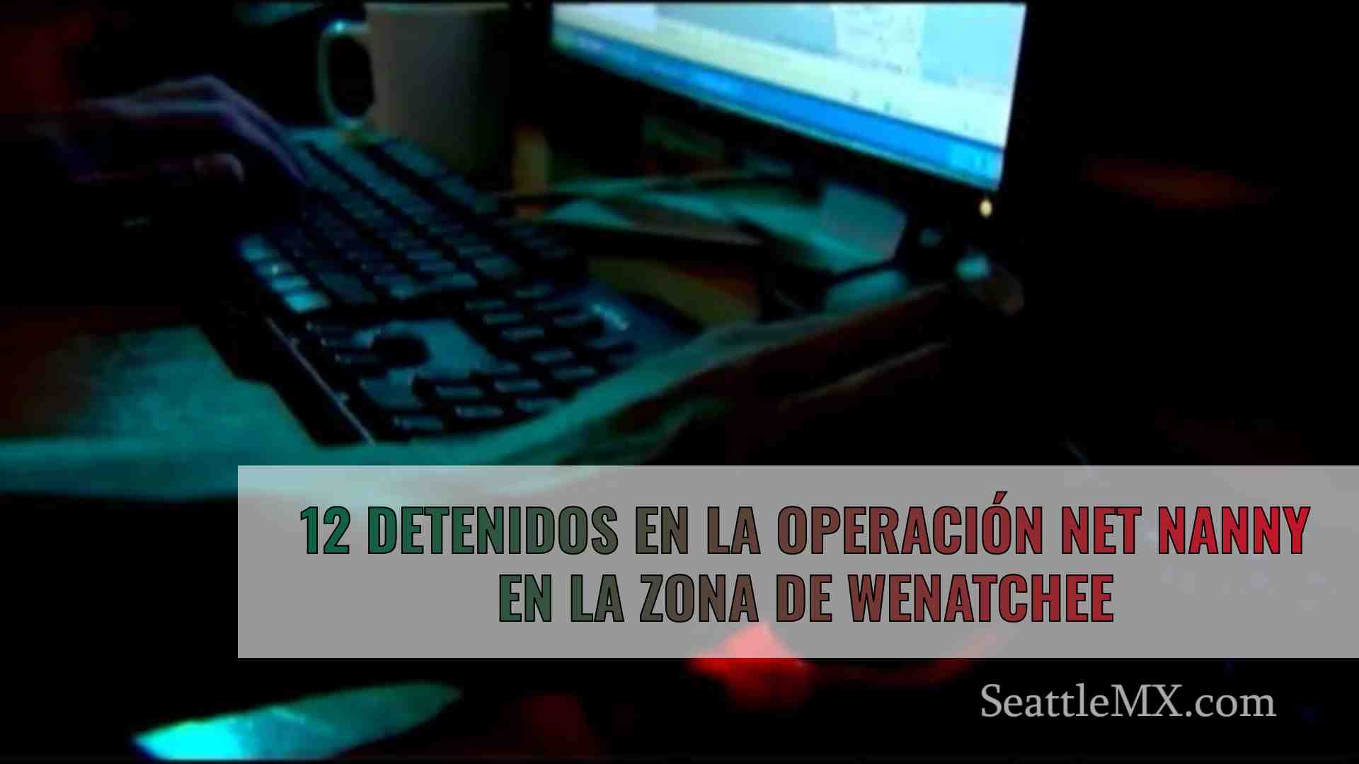 12 detenidos en la operación Net Nanny
